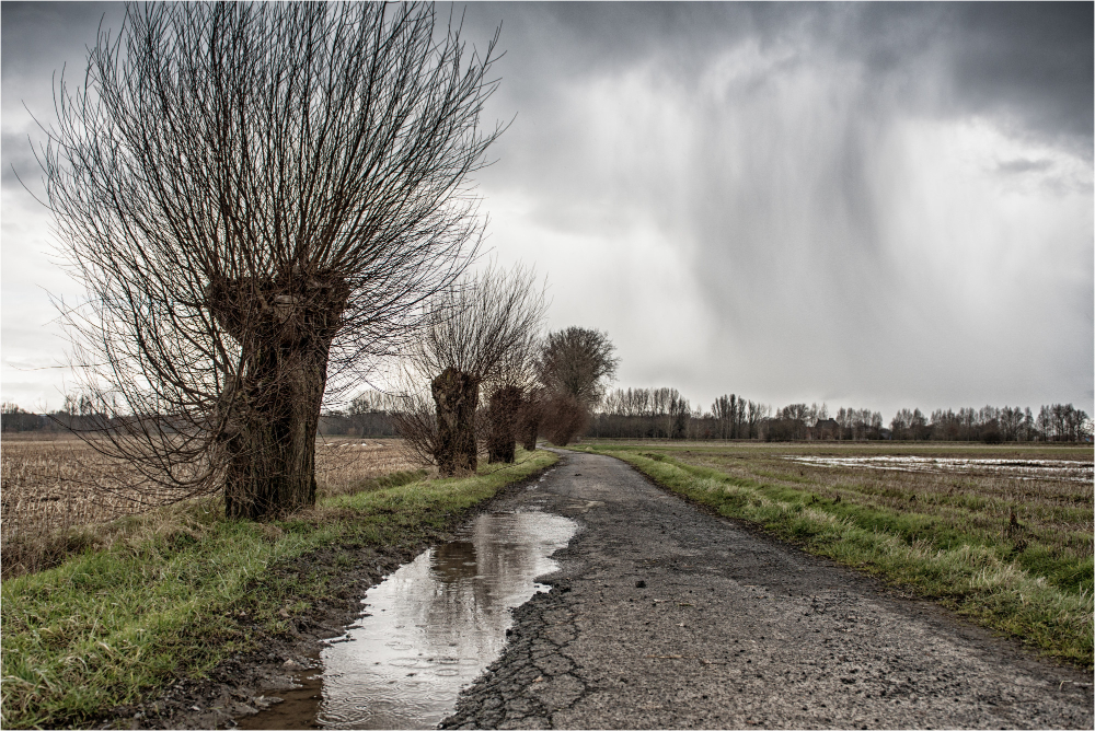 Puddle