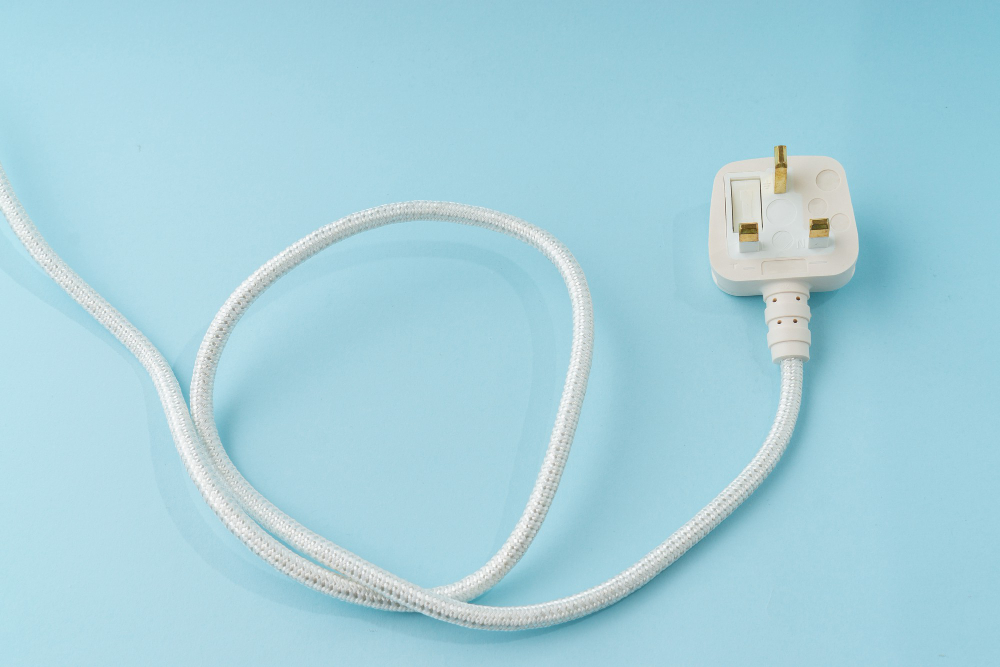 Plug