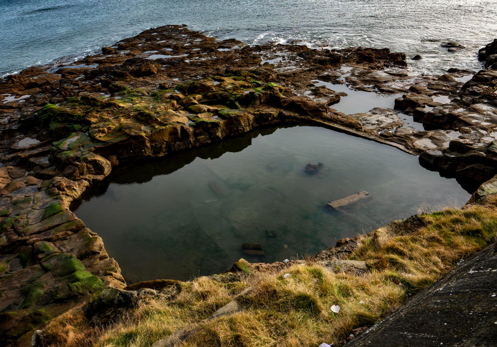 rock pool