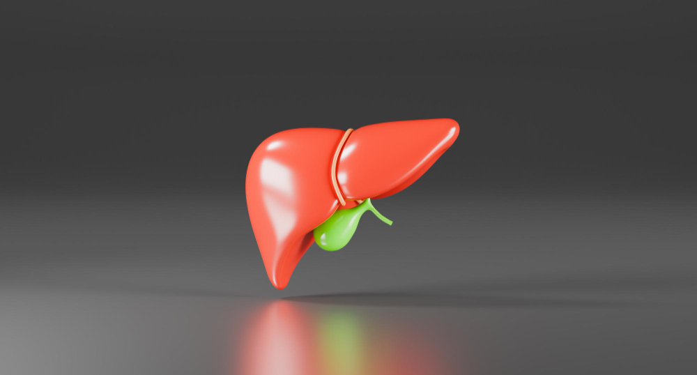 human liver
