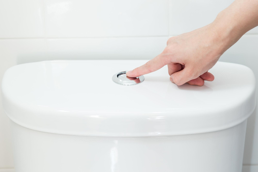 Two Buttons toilet
