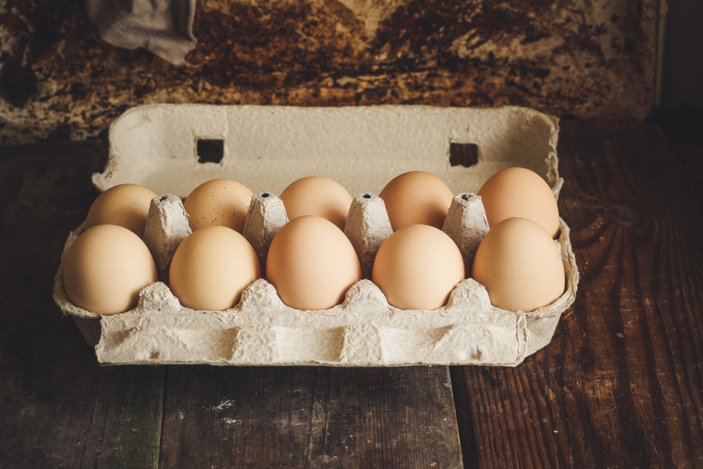 Egg Carton