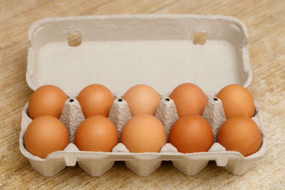 Egg Carton