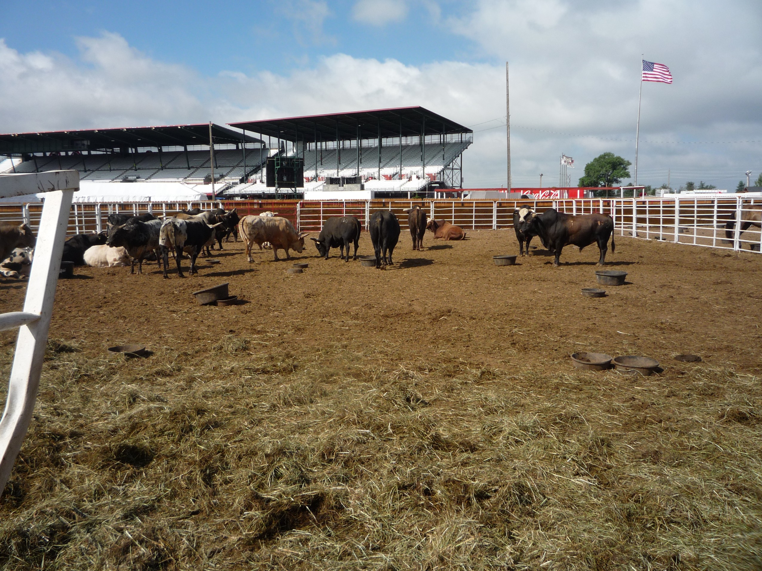 Rodeo