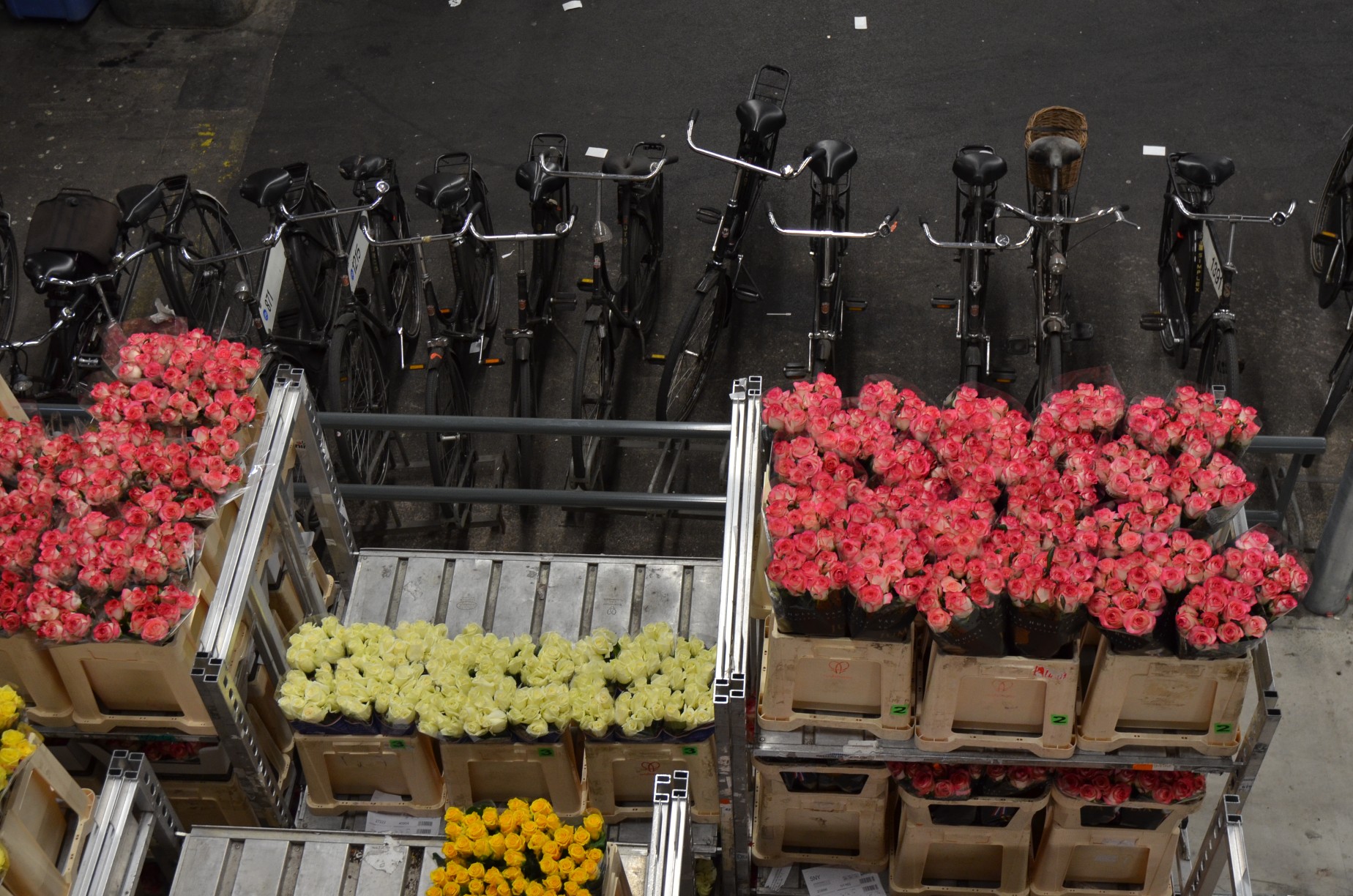 Flower Market