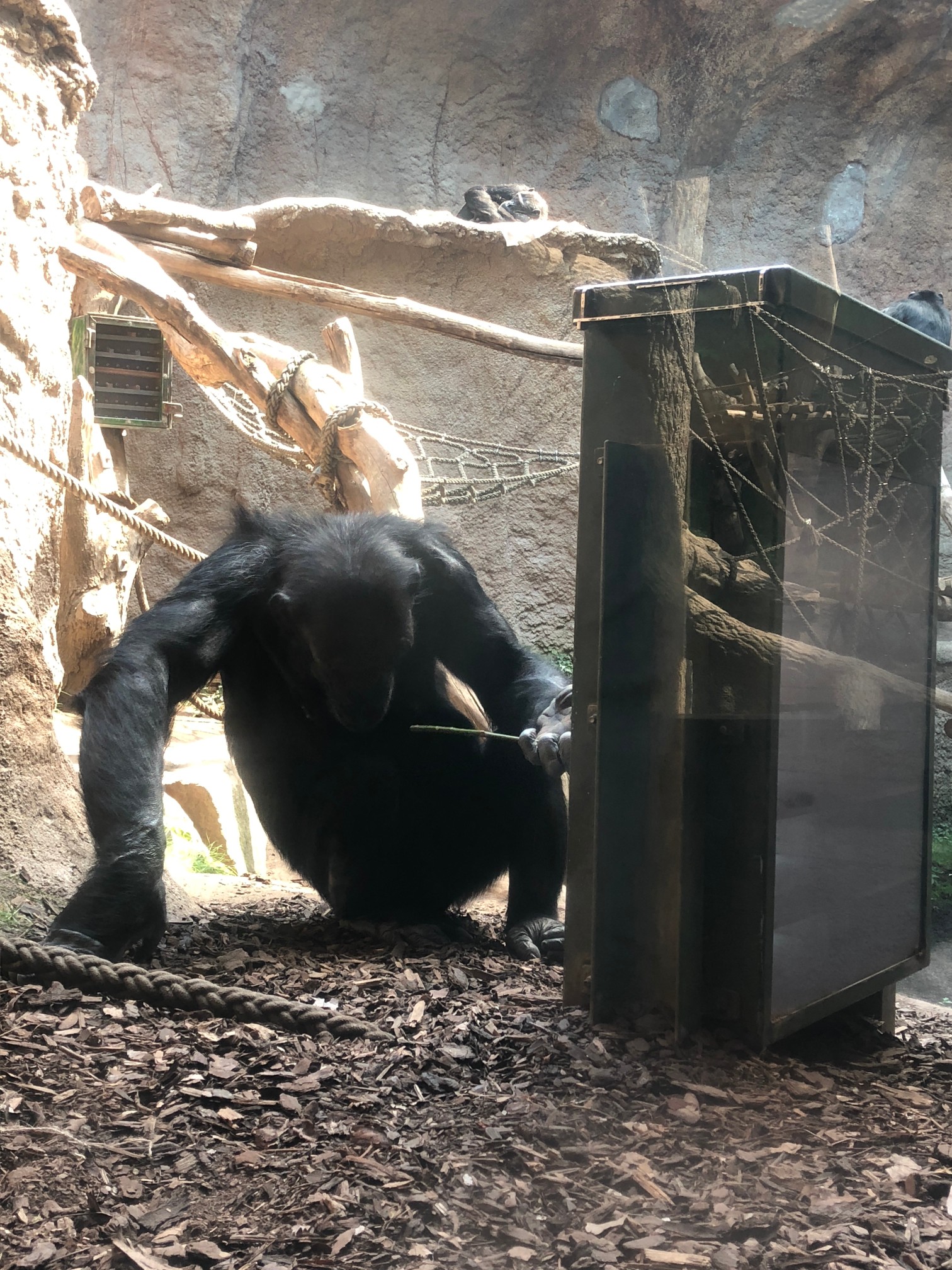 Zoo