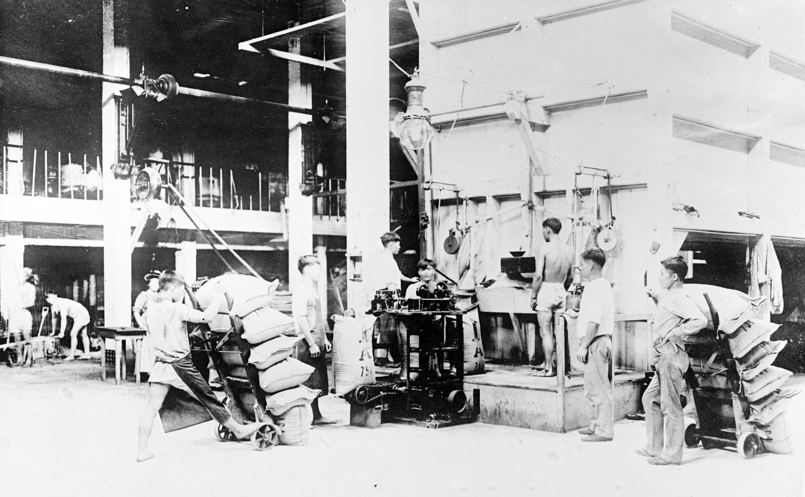Soft Drinks Bottling