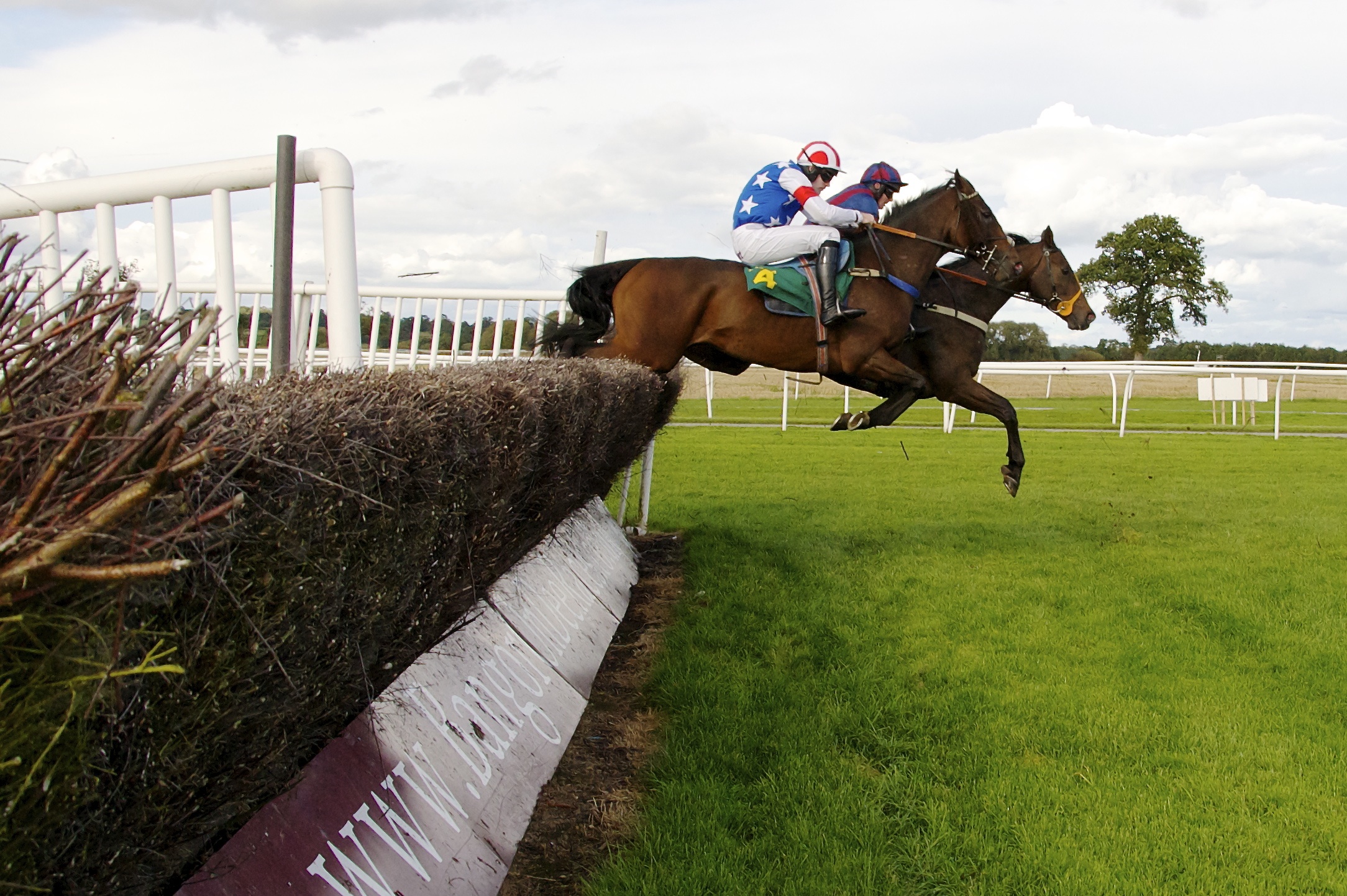 Racing Stable