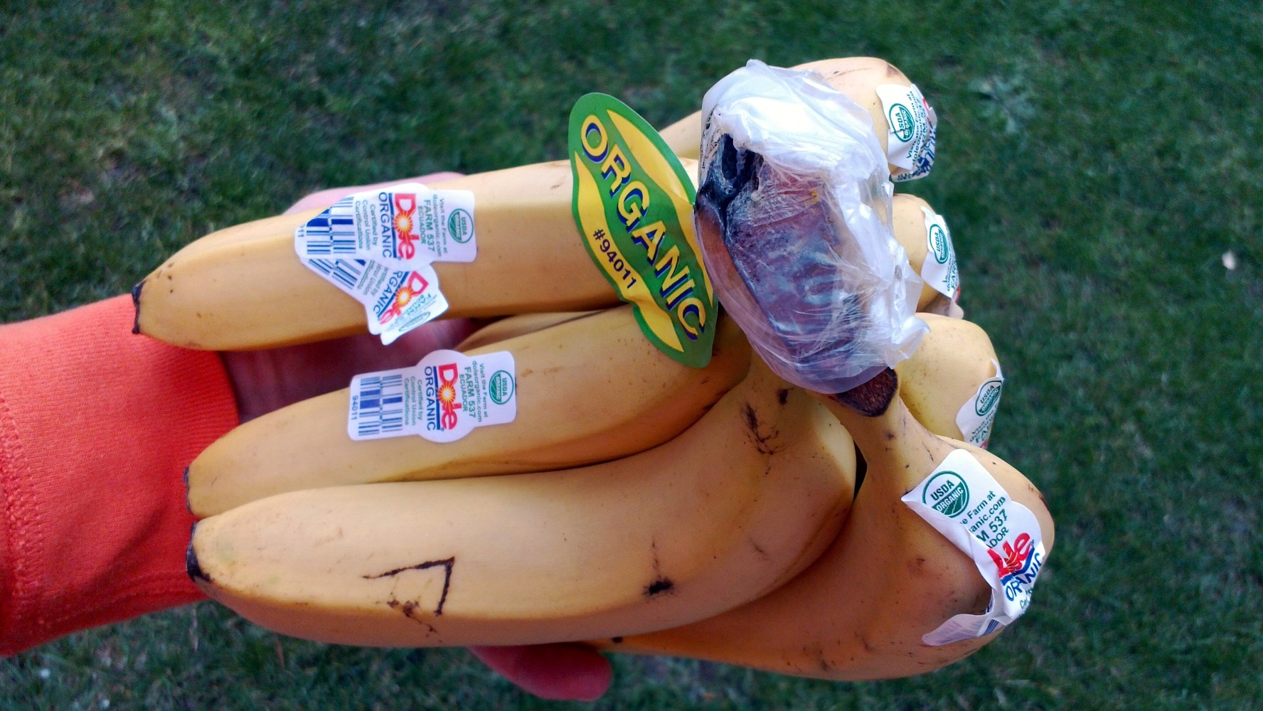 Fruit Sticker