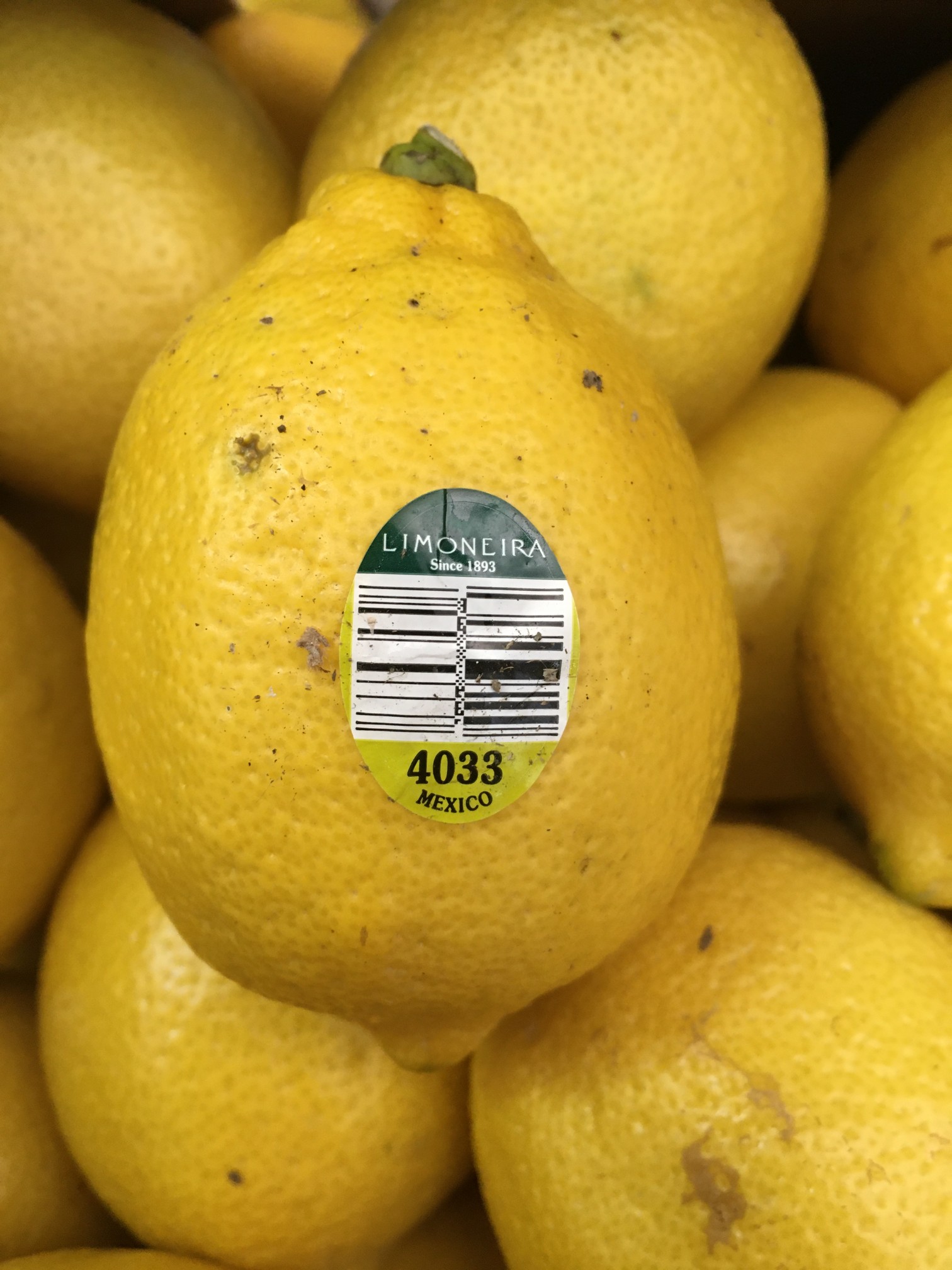 Fruit Sticker