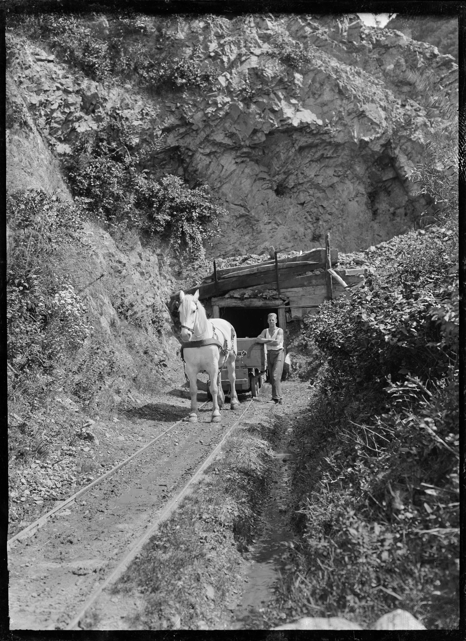 Coal Mine