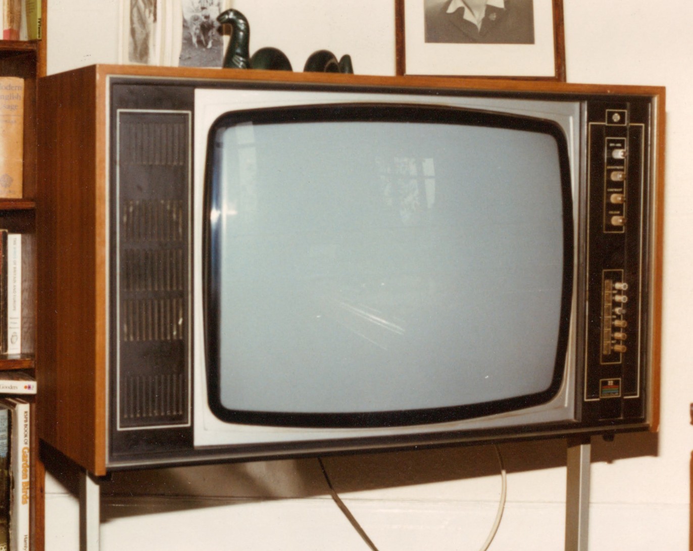 Television