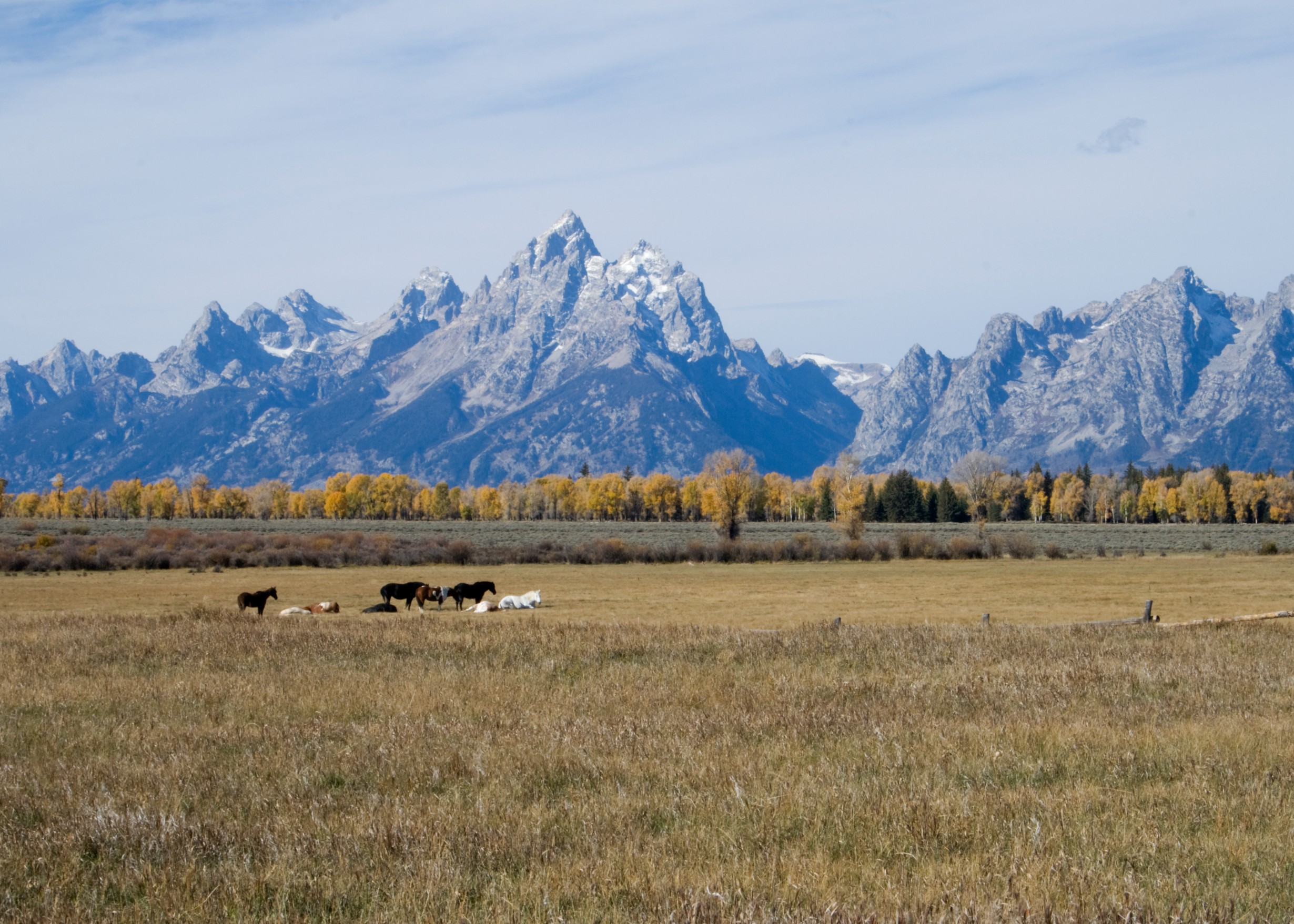 Ranch