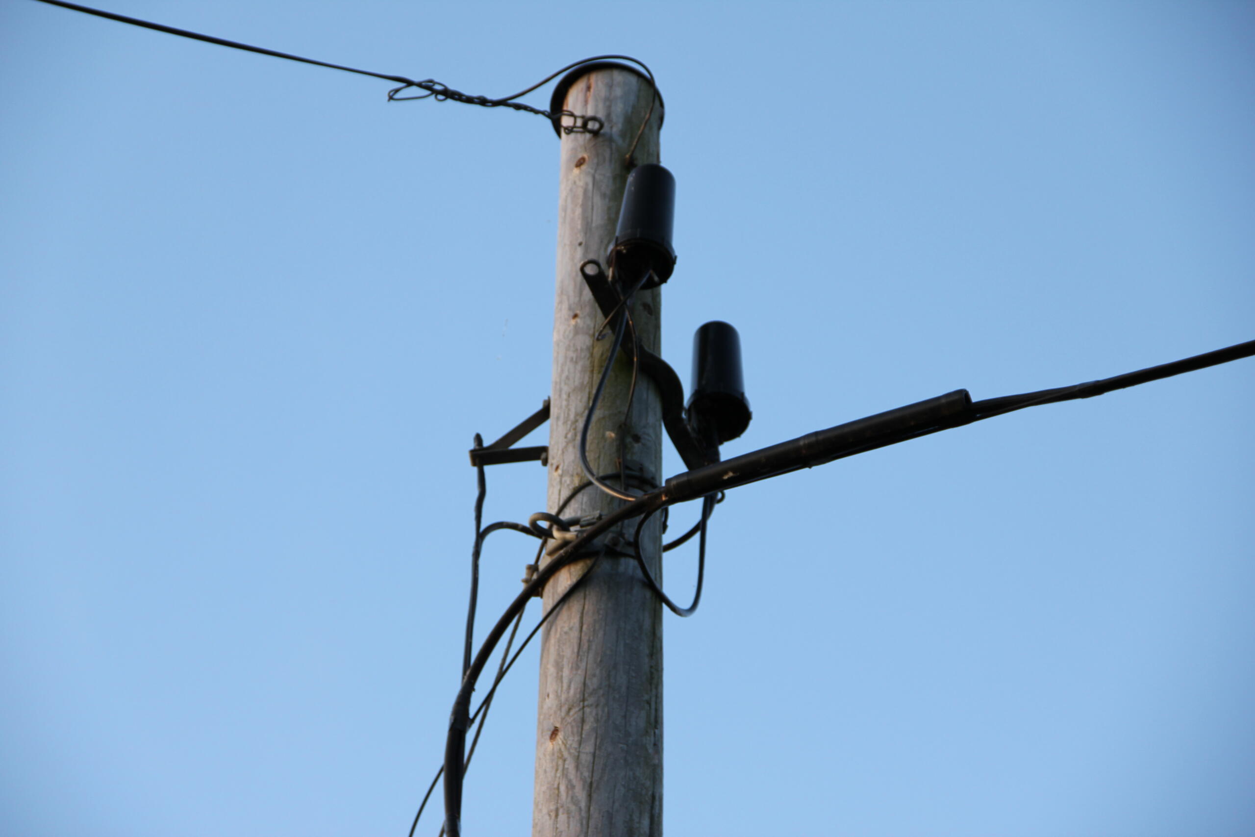 Phone Line
