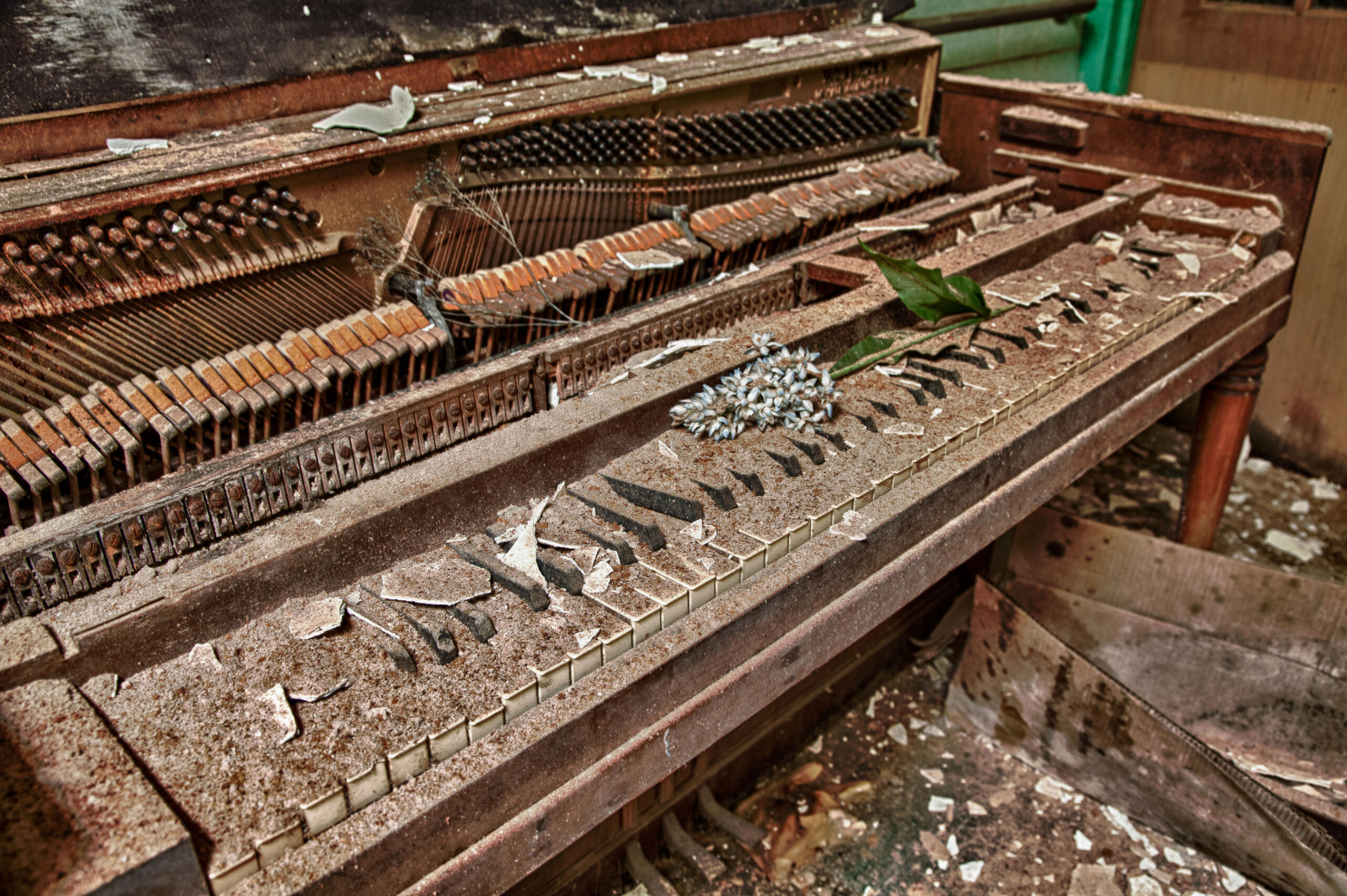 Piano Tuner