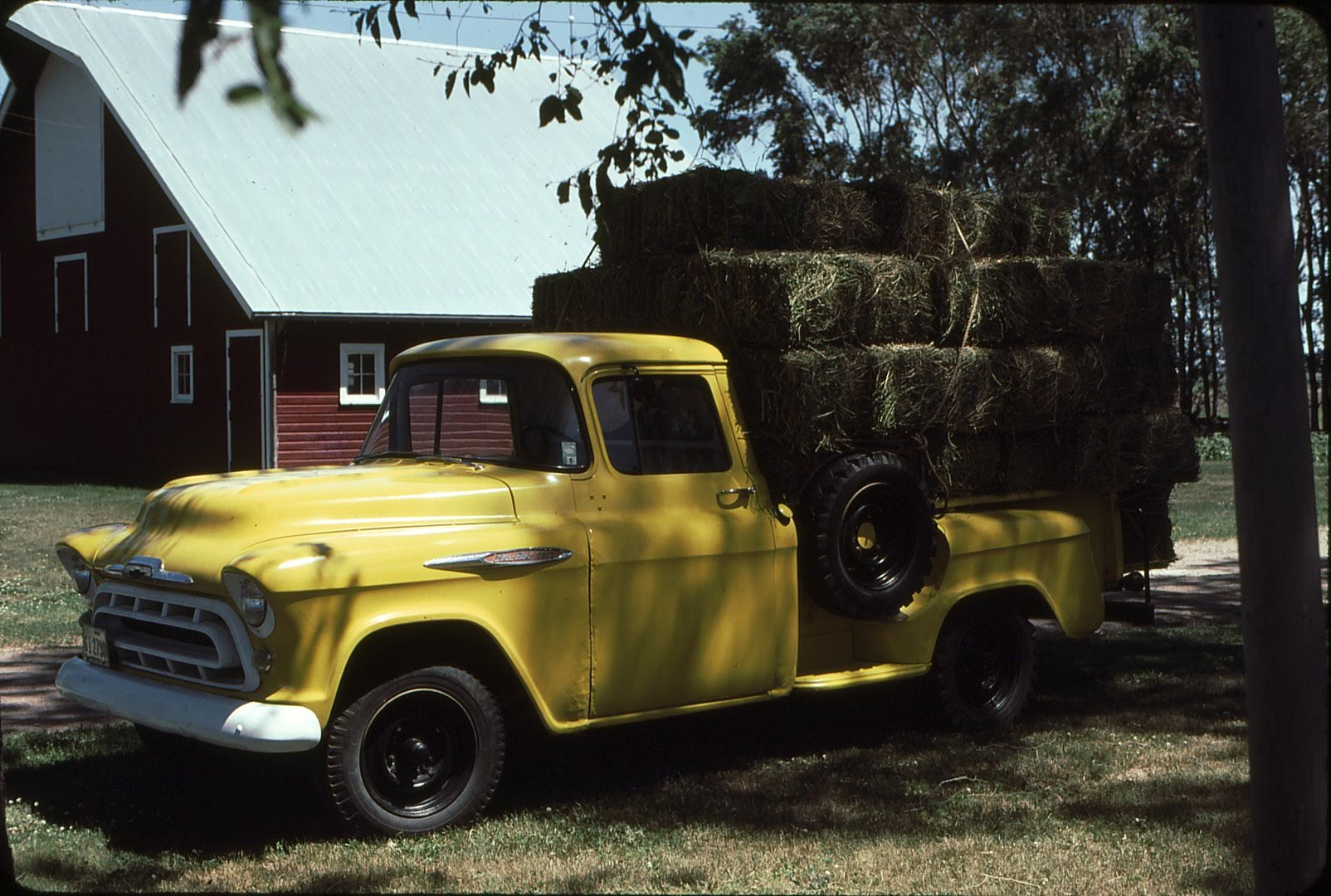 Pickup Truck