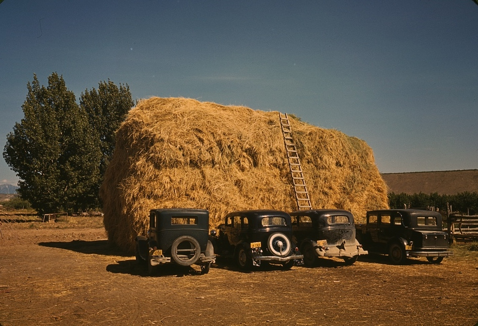 Pickup Truck