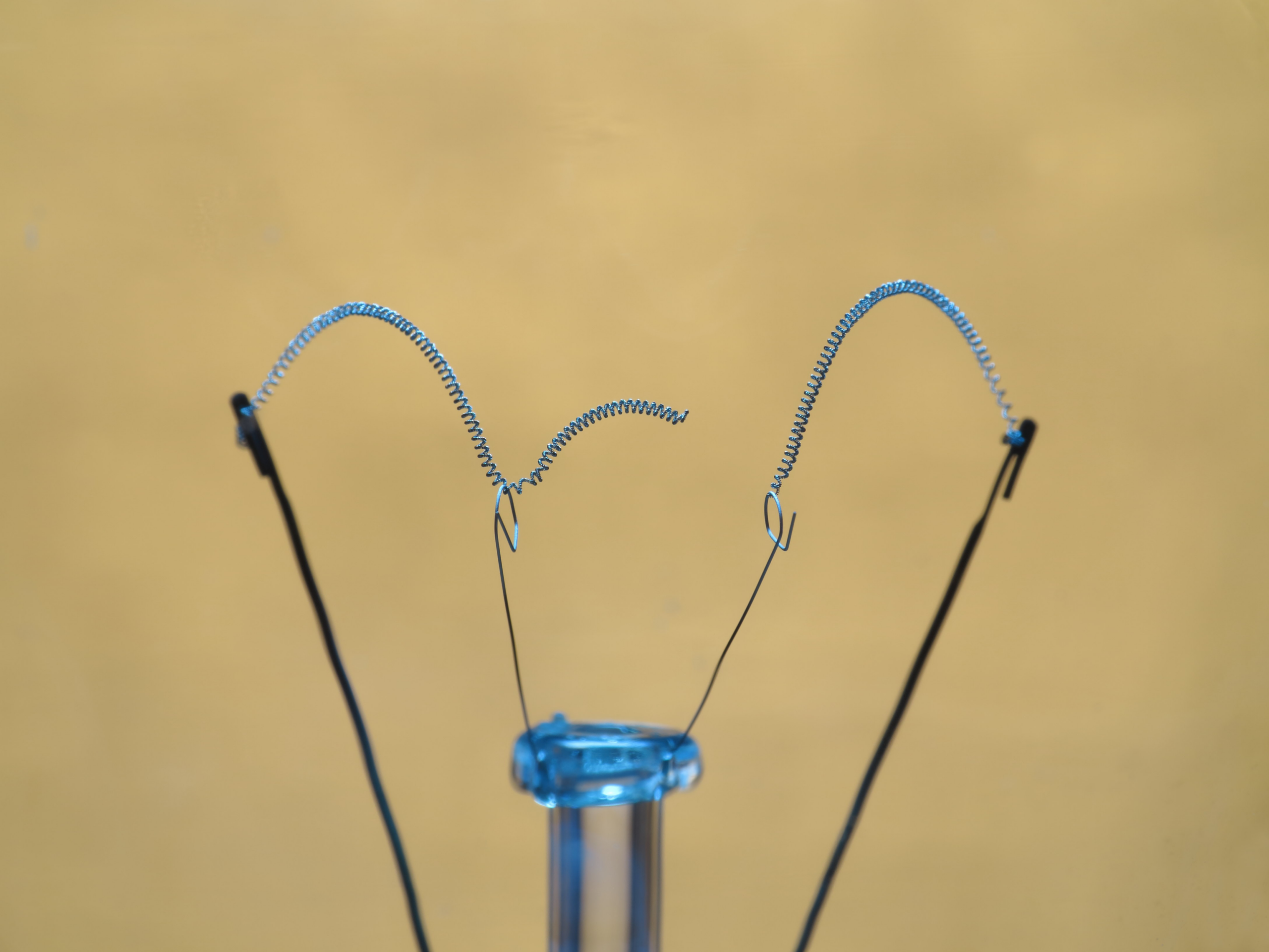 Bulb