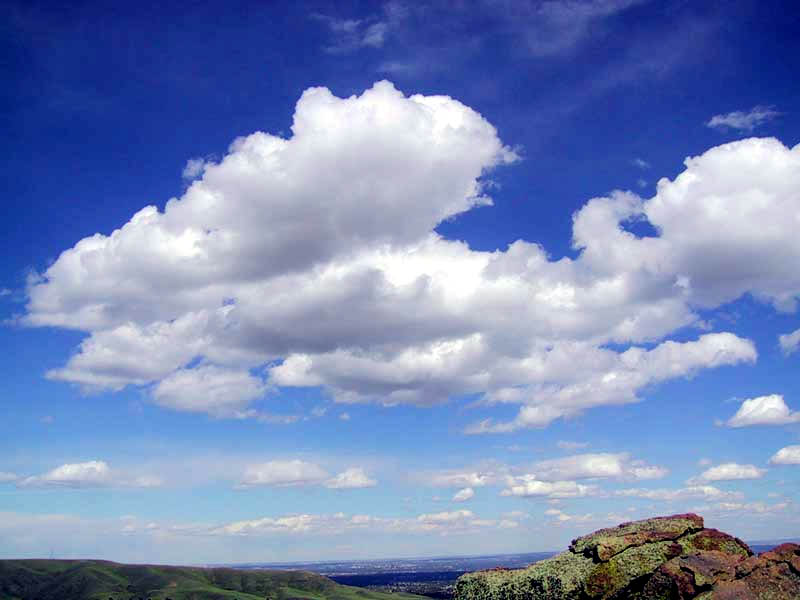 Weather Observer