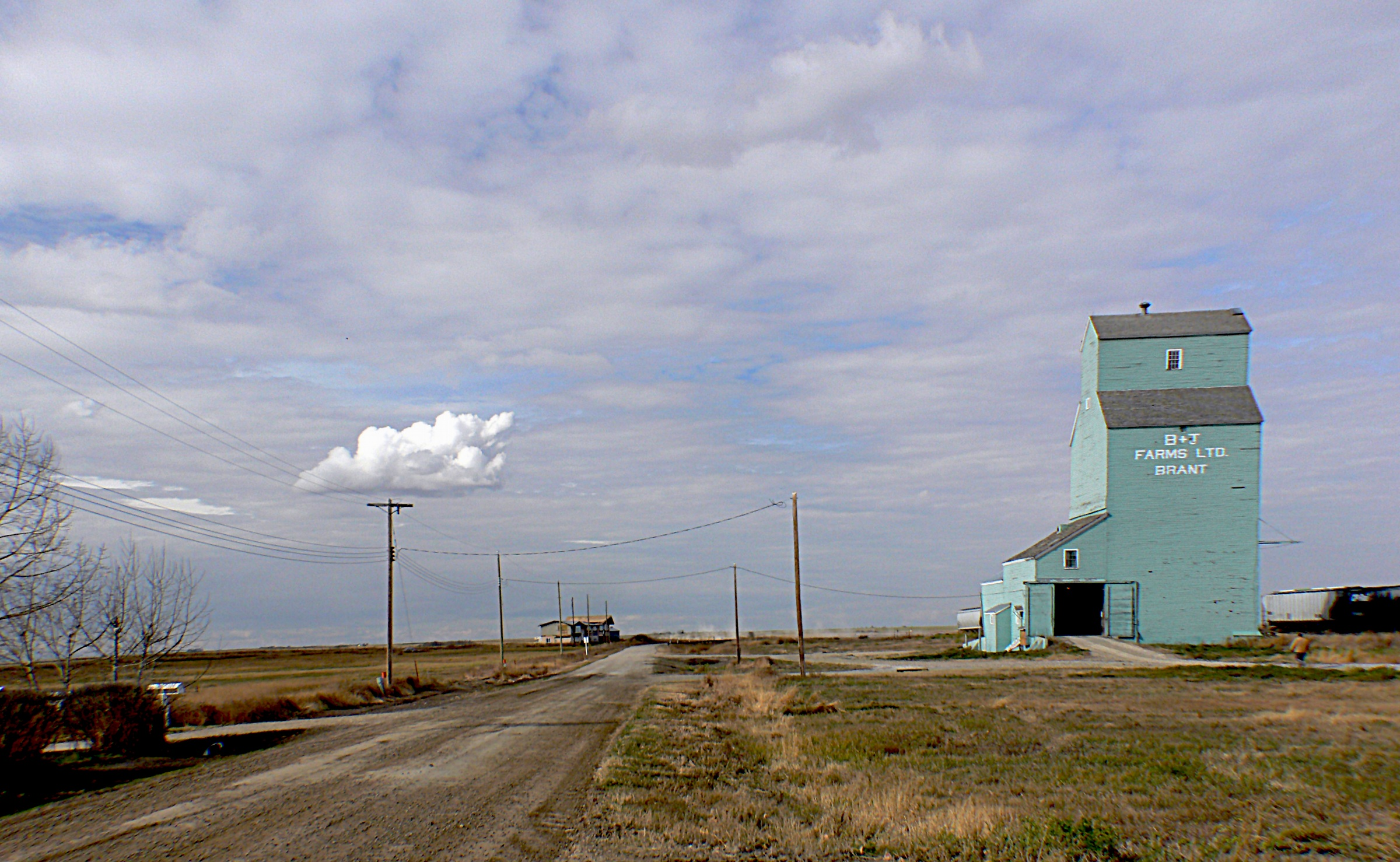 Country Grain Elevator