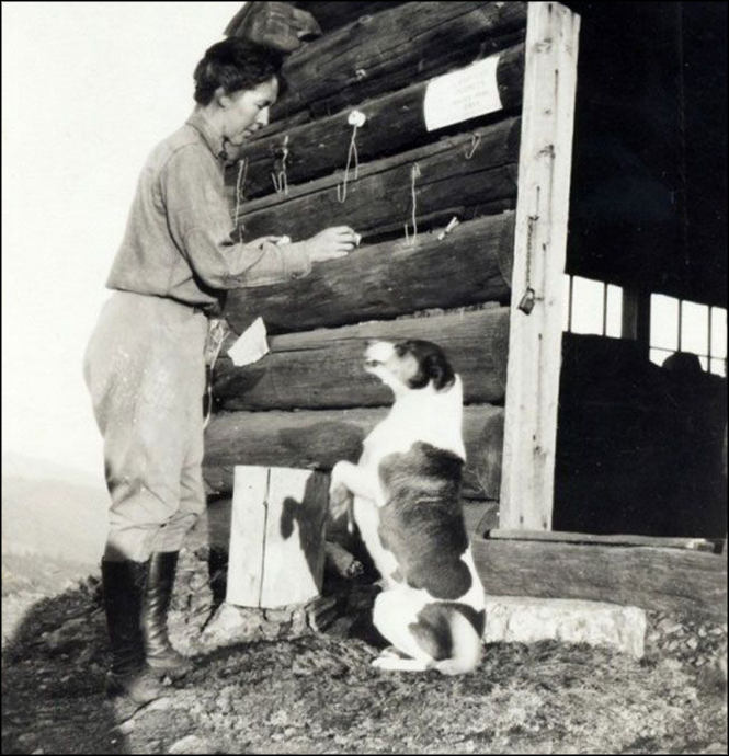 Fire Lookout