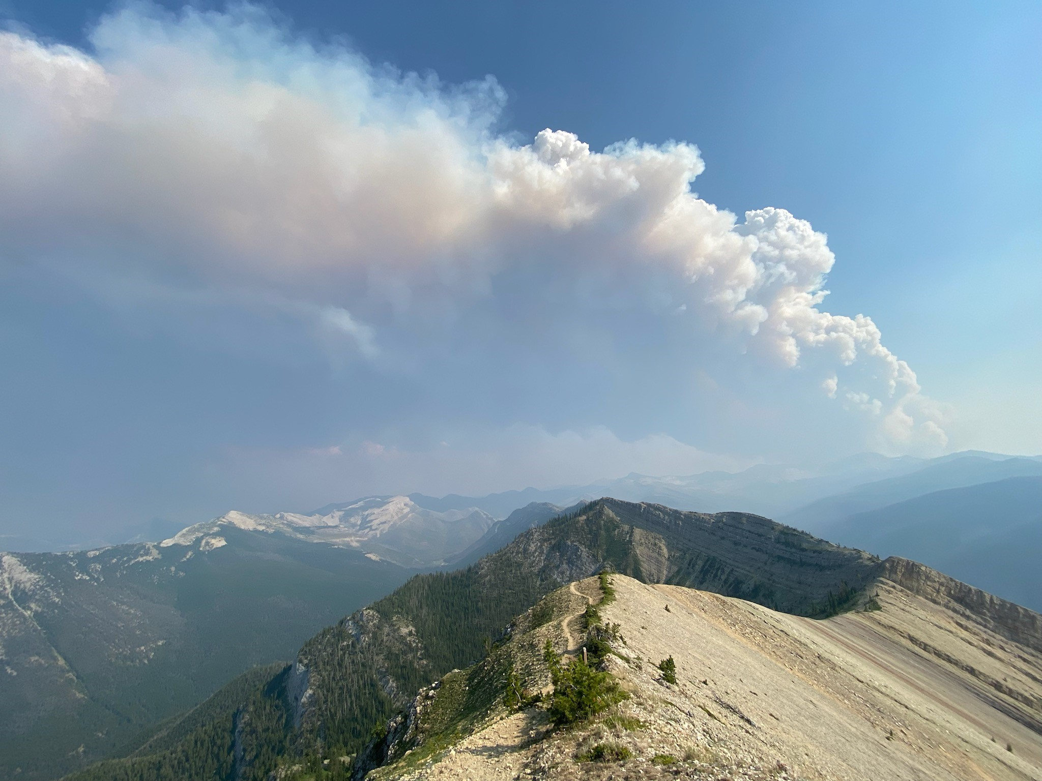 Fire Lookout