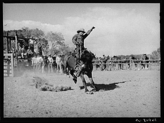 Rodeo