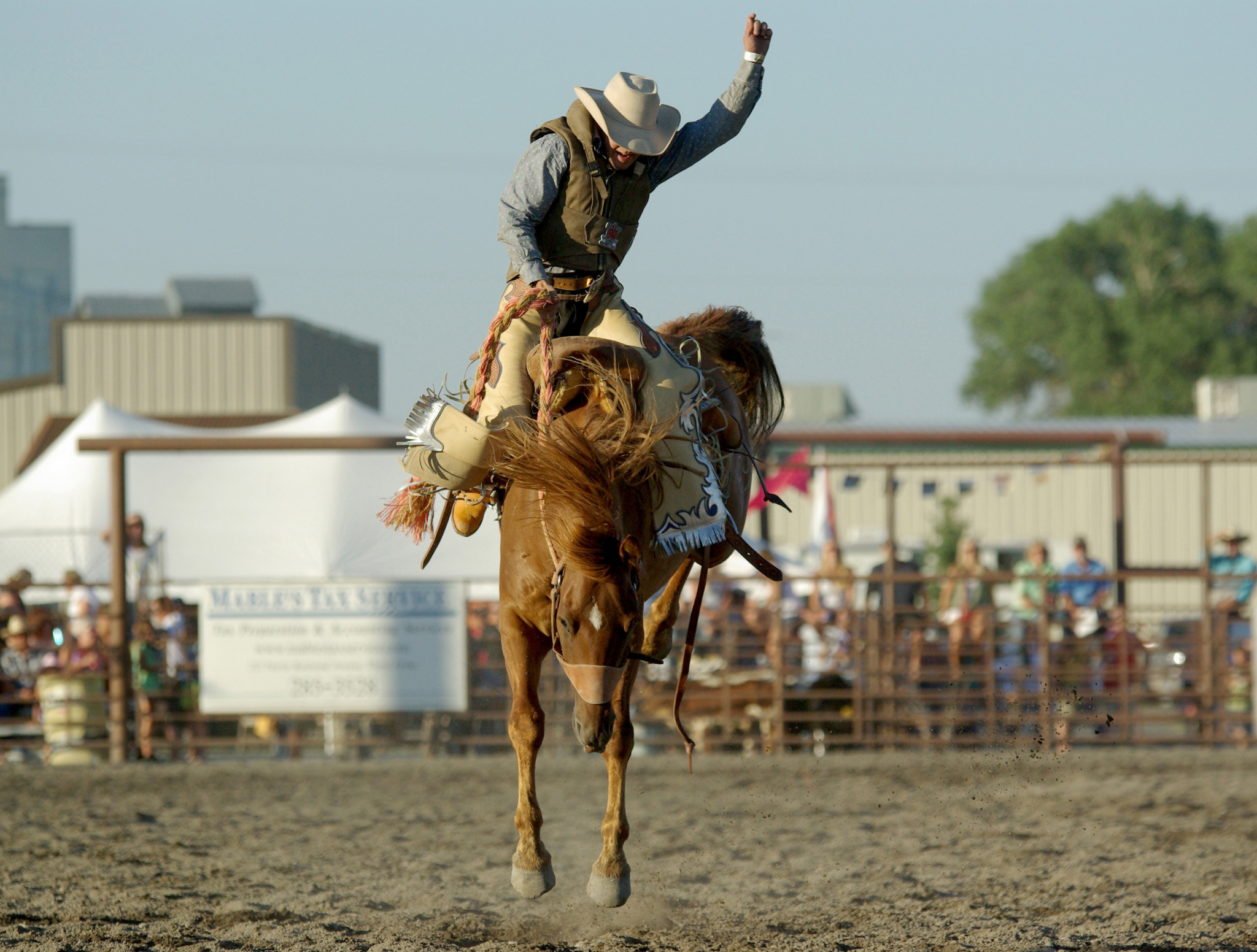 15 Things That Were Normal at a Rodeo in 1965 That No Sanctioned Event ...