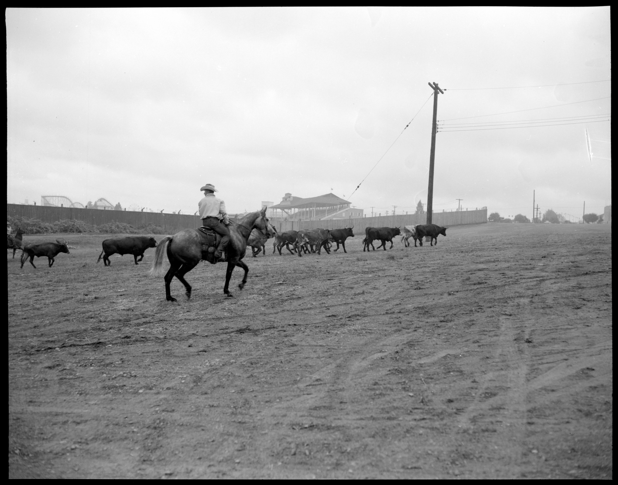 Rodeo