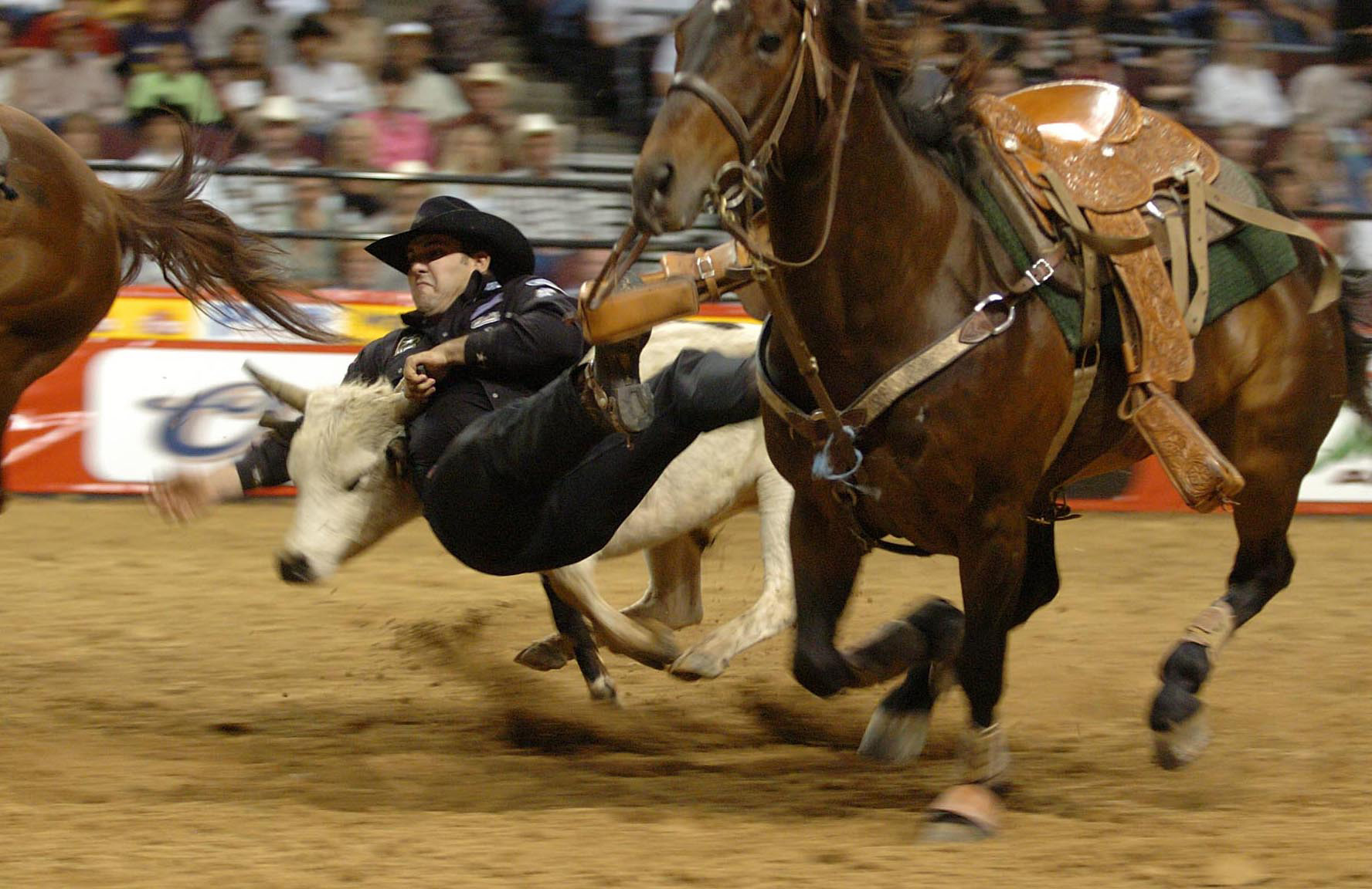 Rodeo