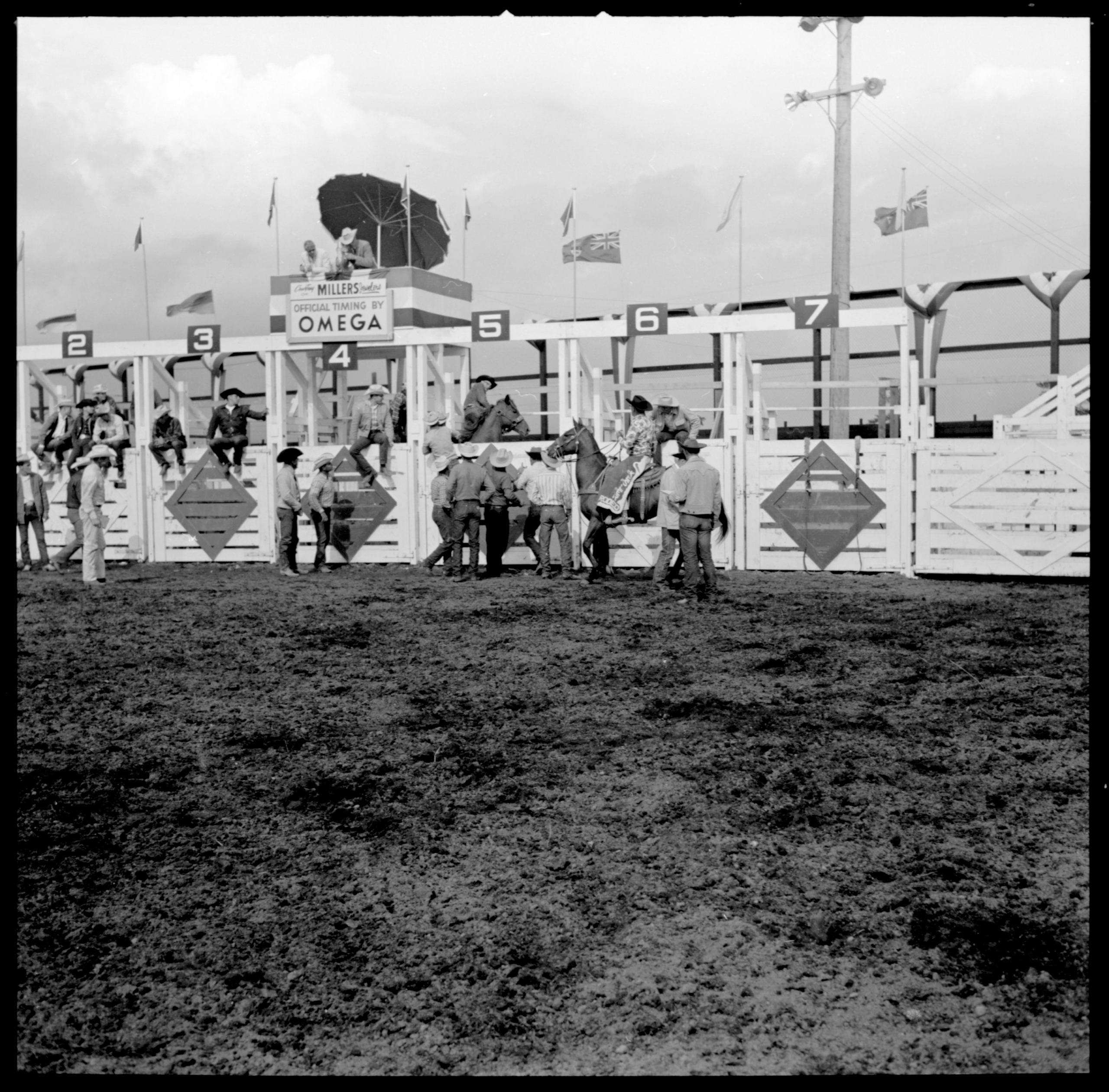 Rodeo