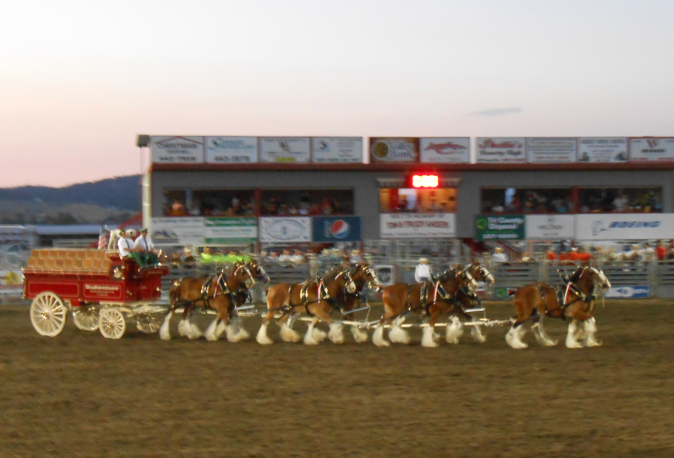 Rodeo