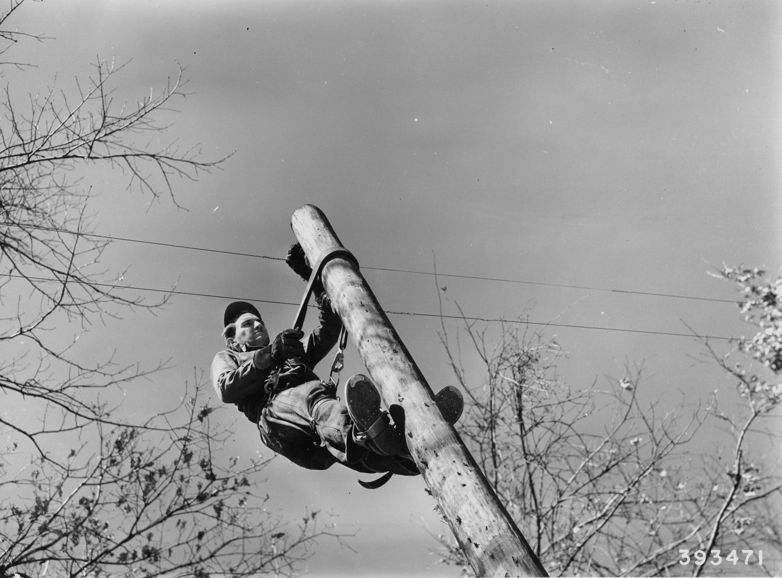 Power Lineman