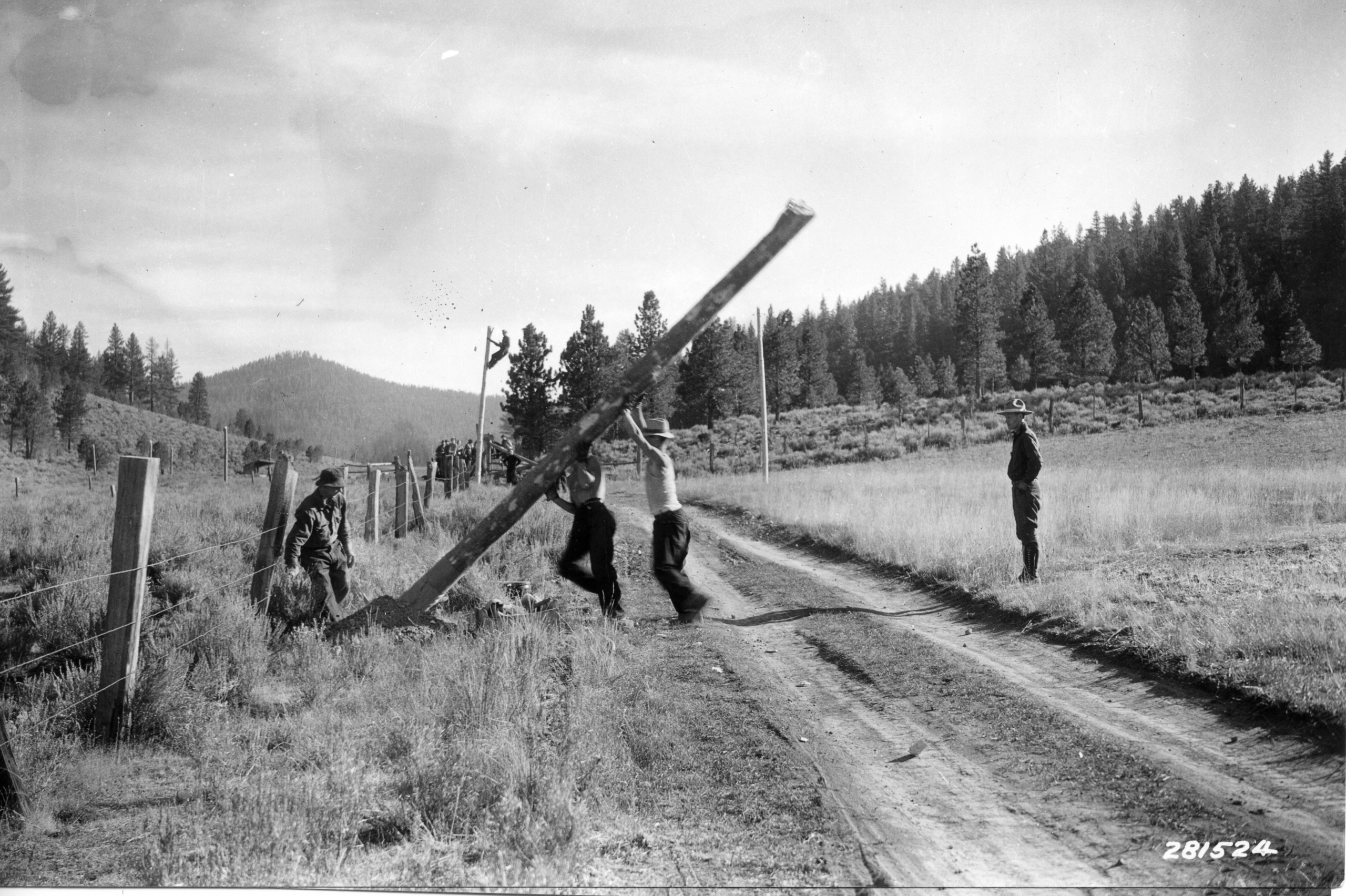 Power Lineman