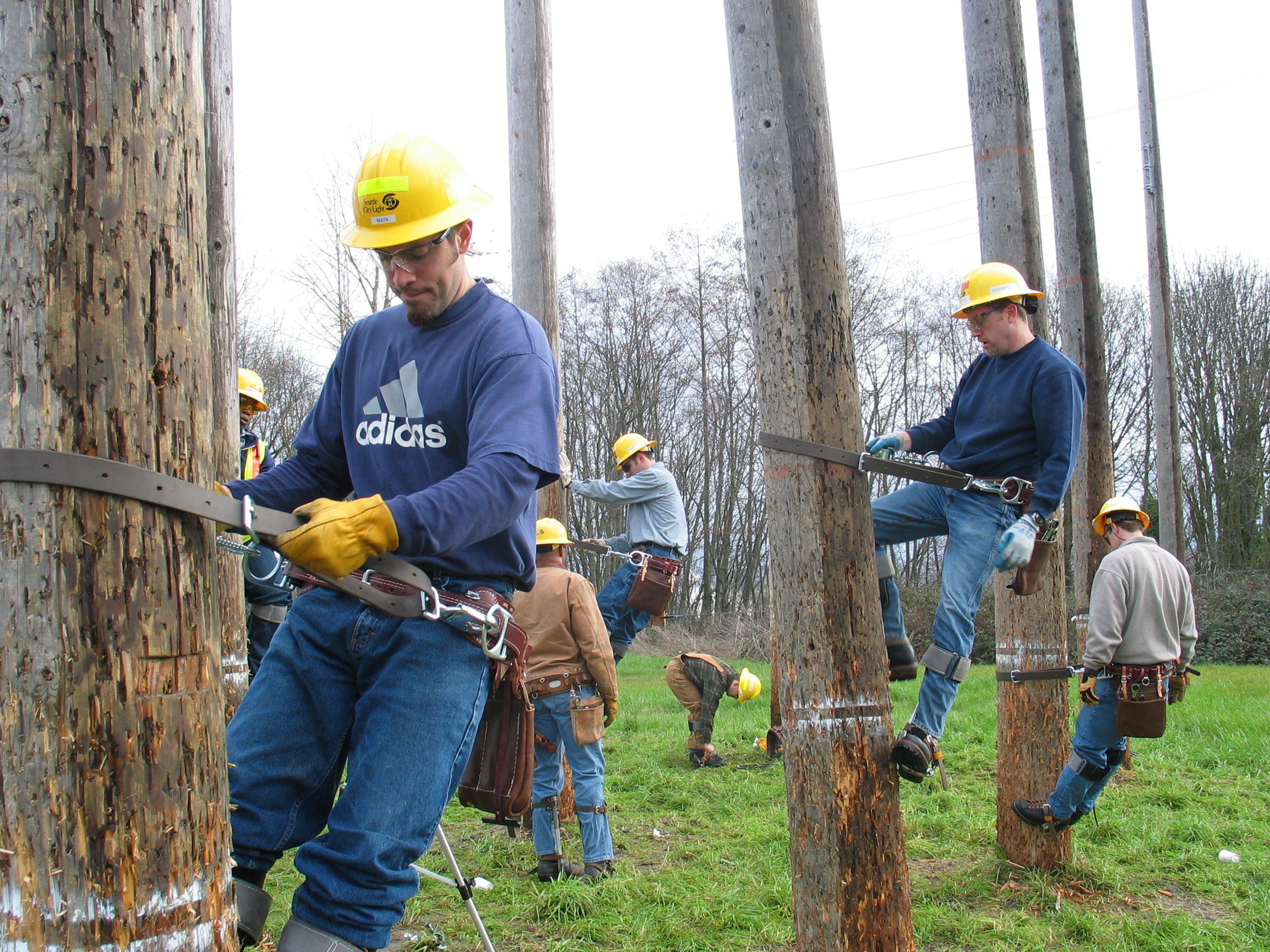 Power Lineman