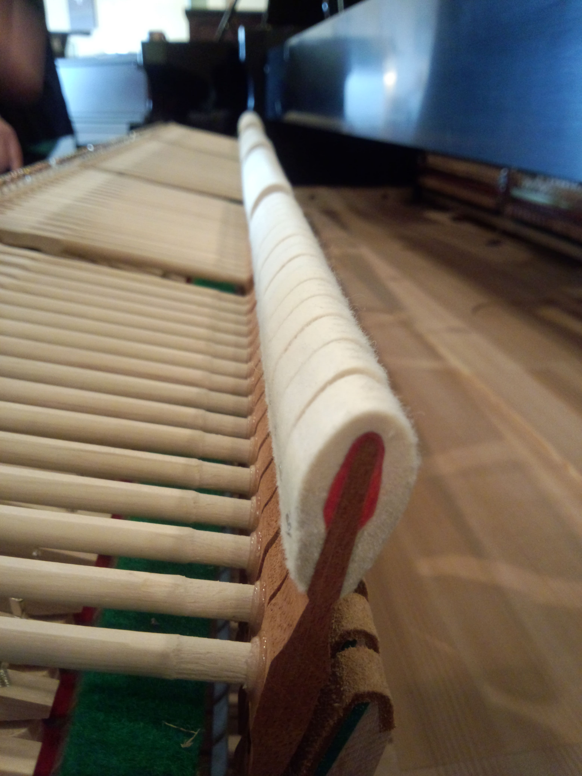 Piano Tuner
