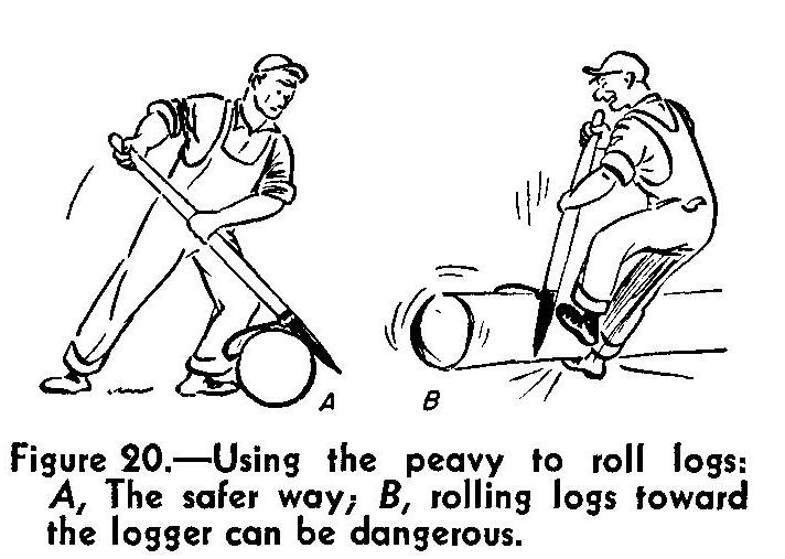 Sawmill