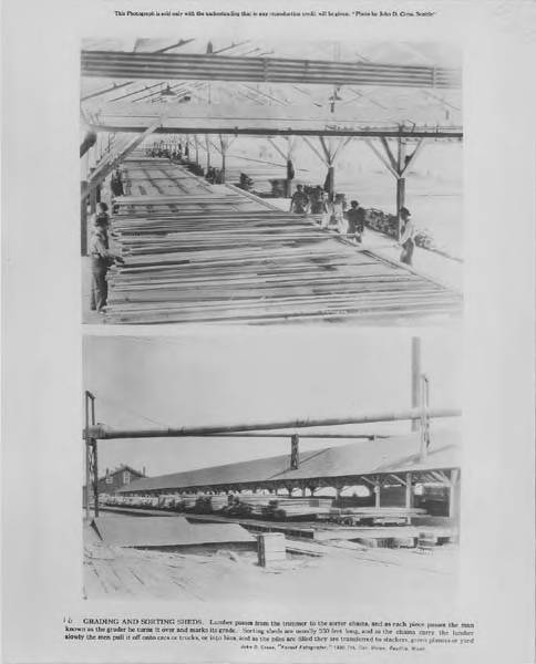 Sawmill