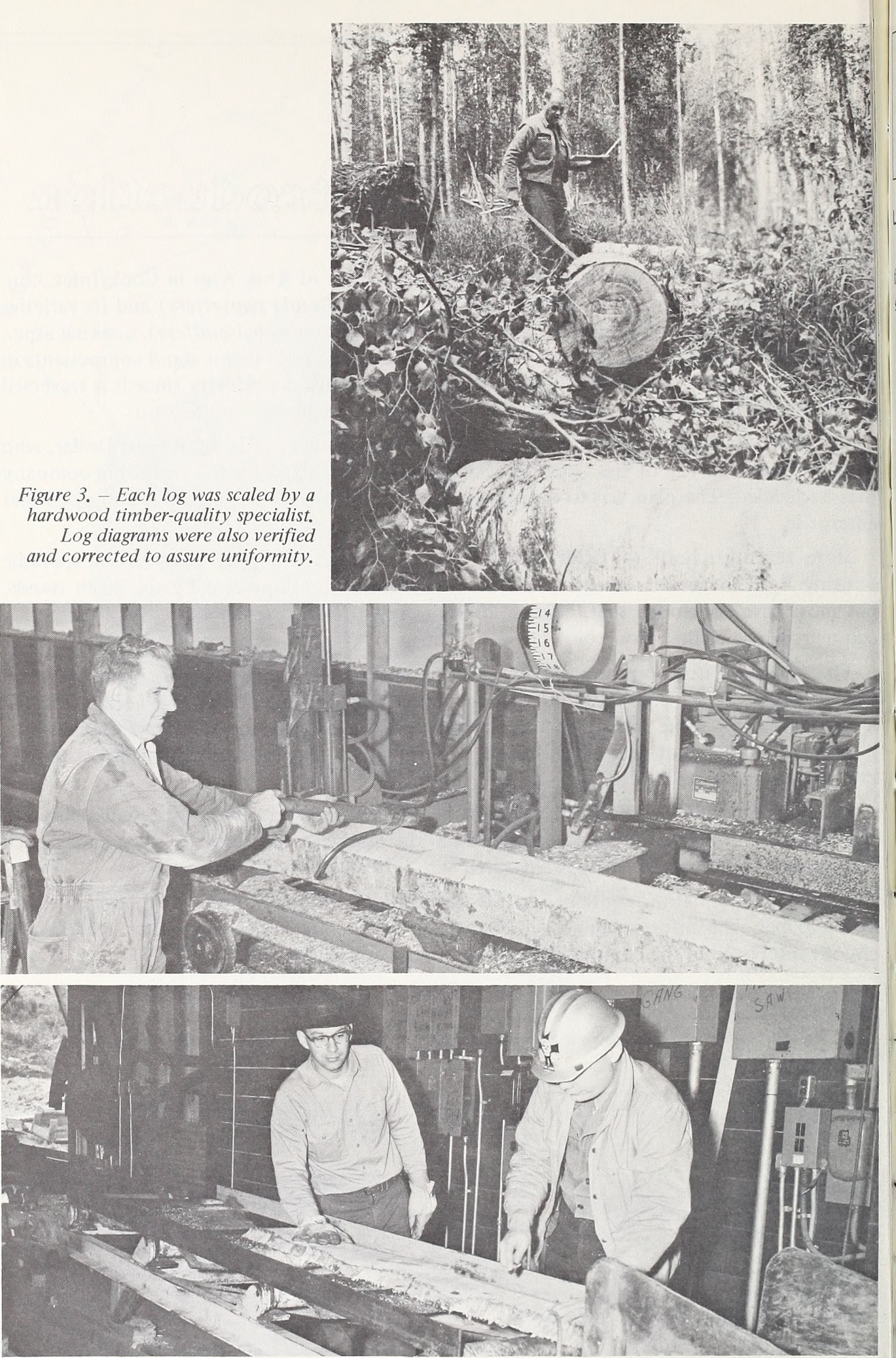 Sawmill