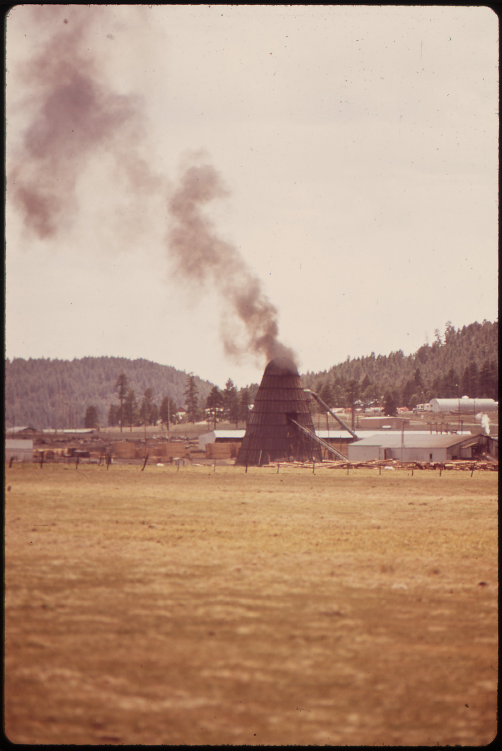 Sawmill