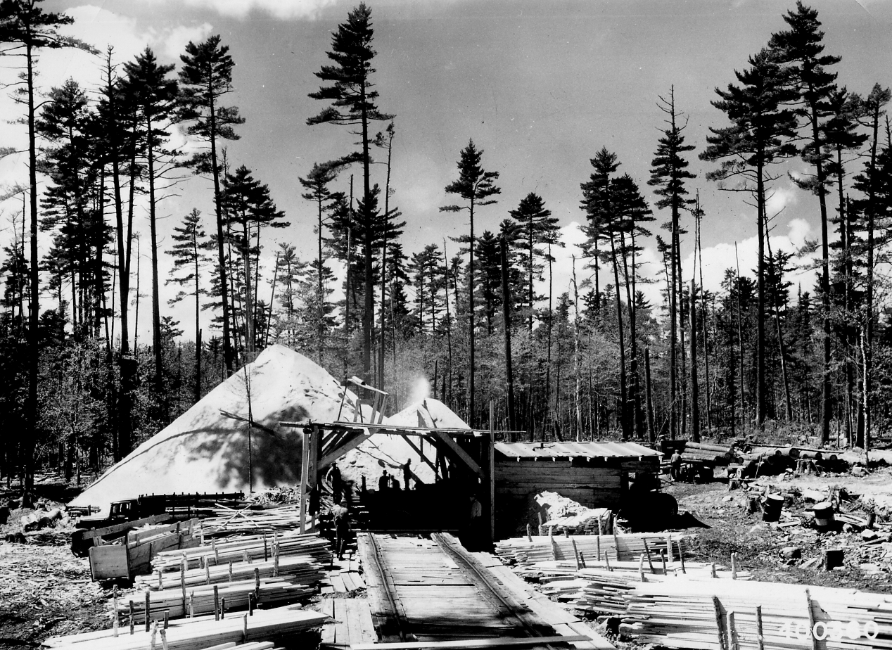 Sawmill