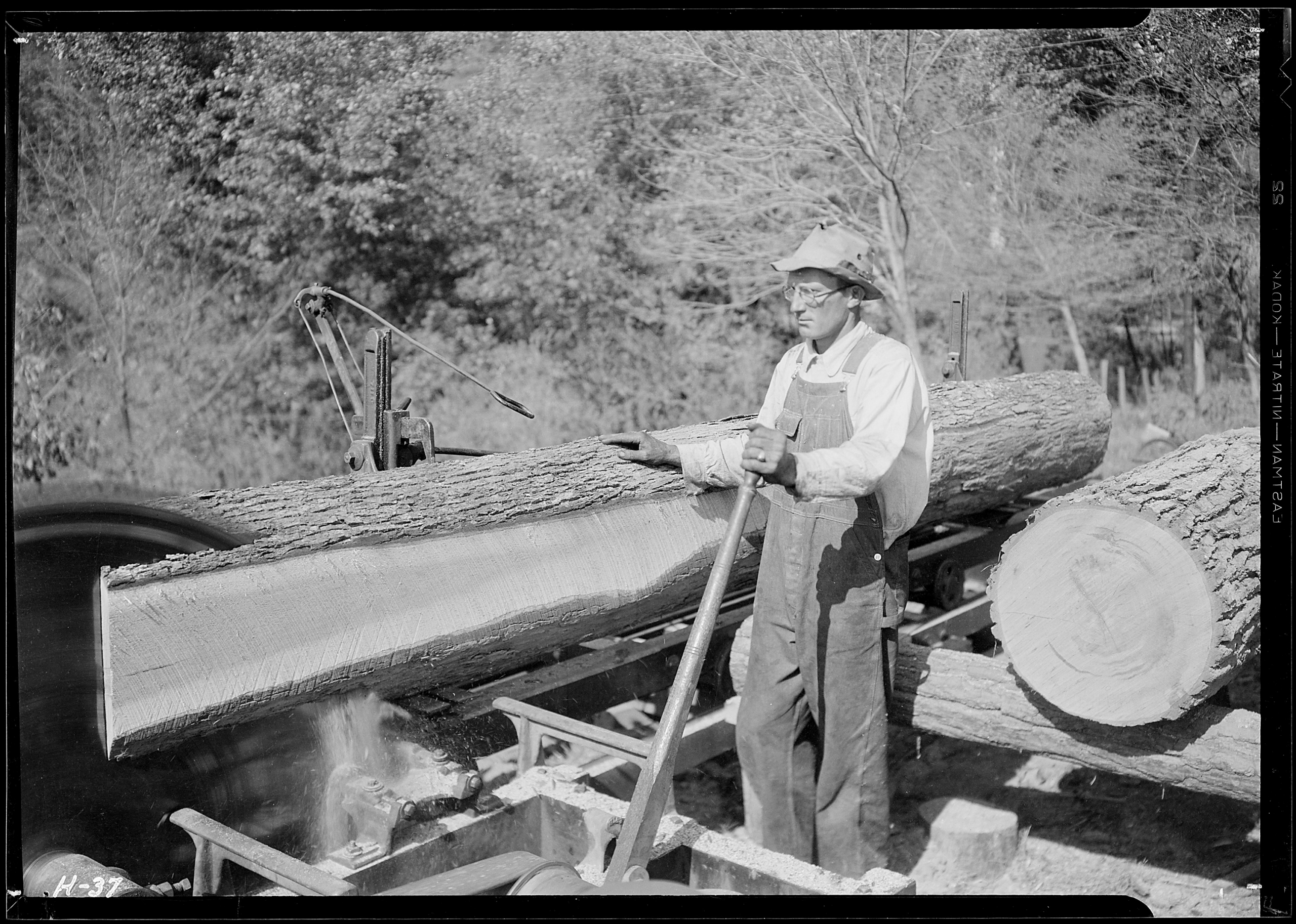 Sawmill