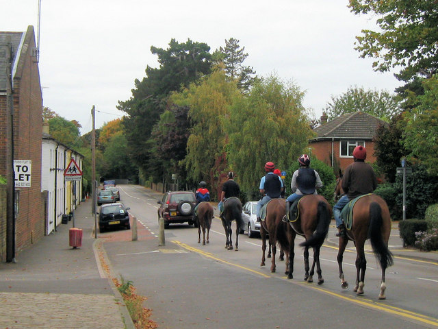Racing Stable