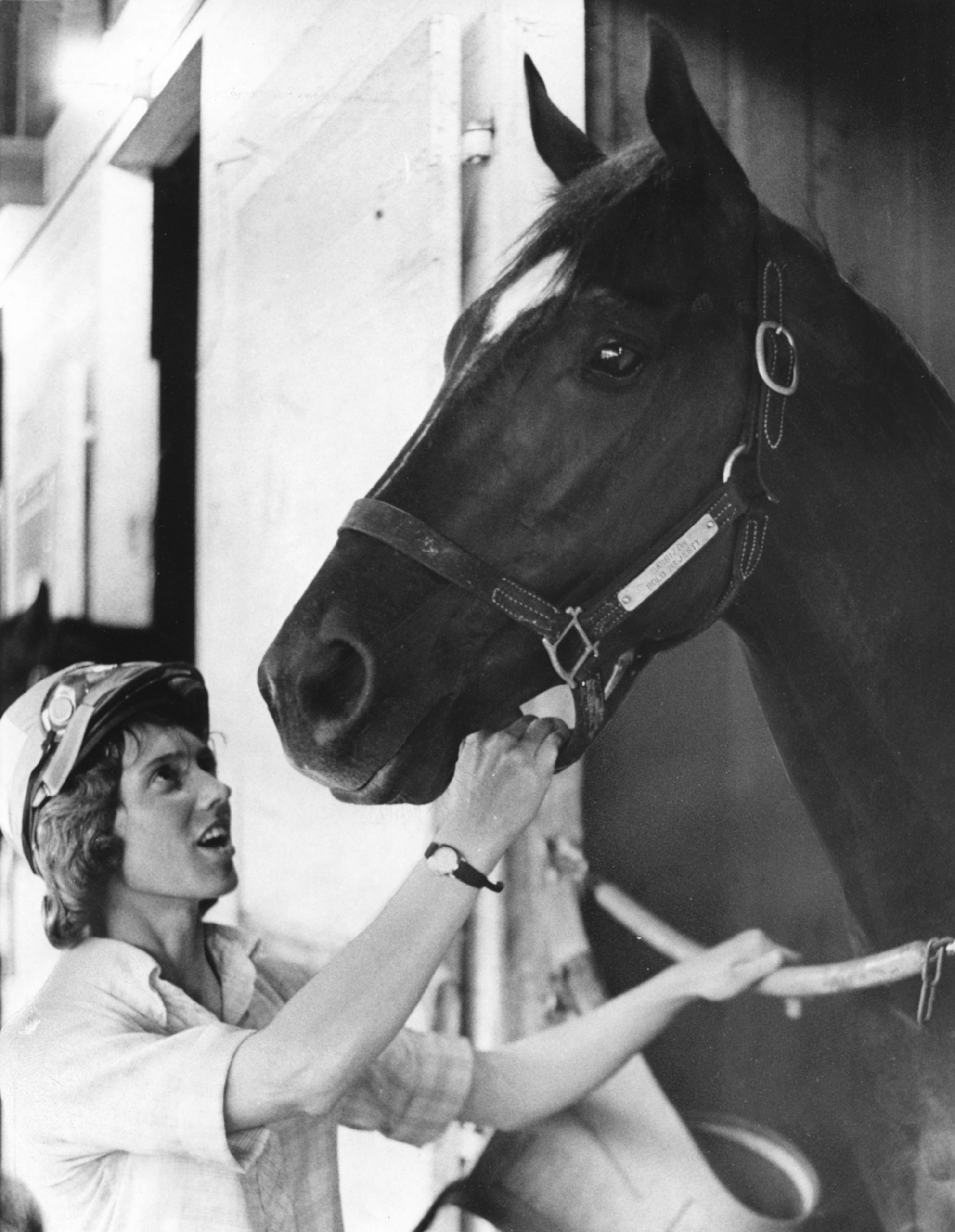 Racing Stable