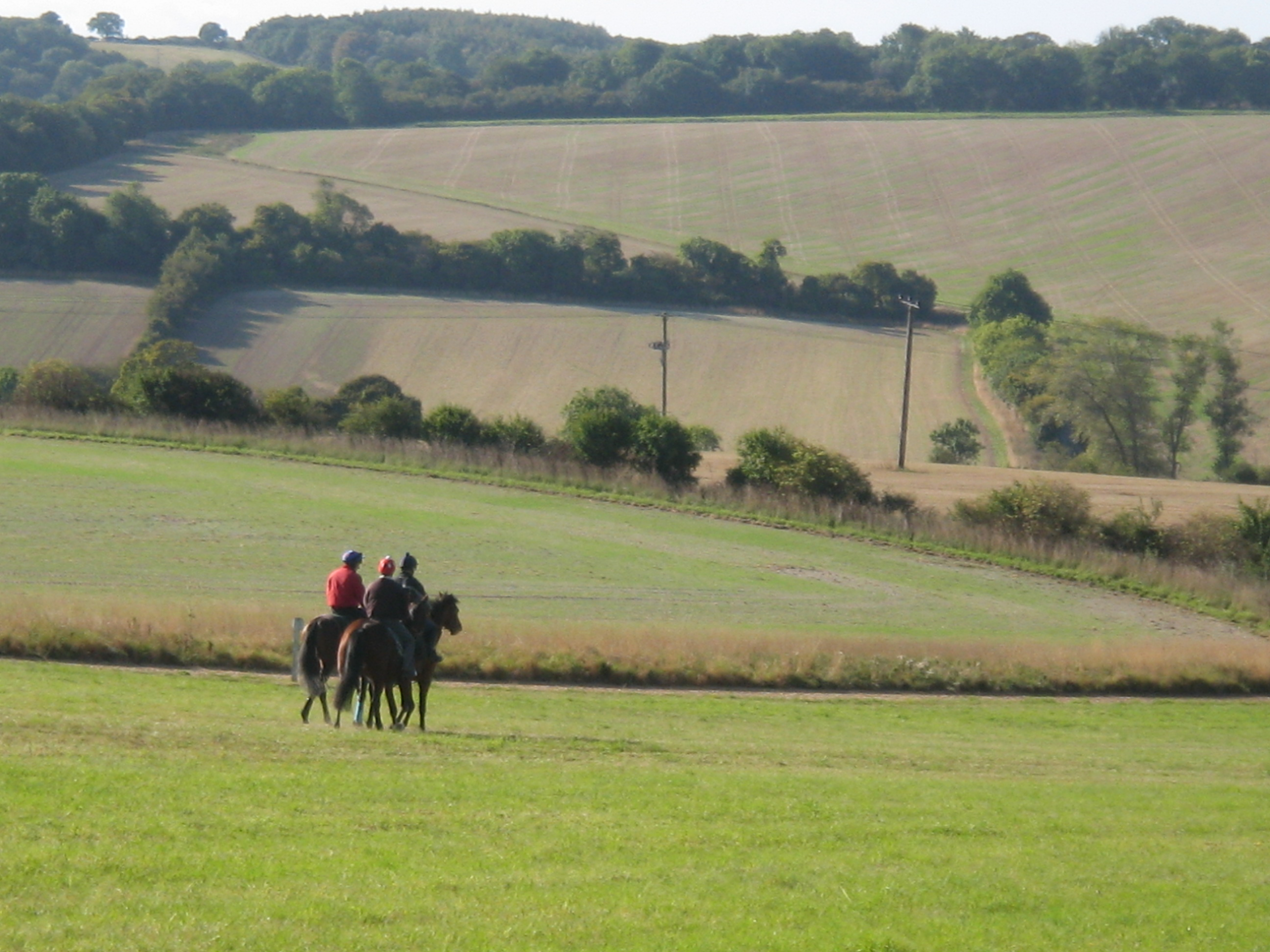 Racing Stable