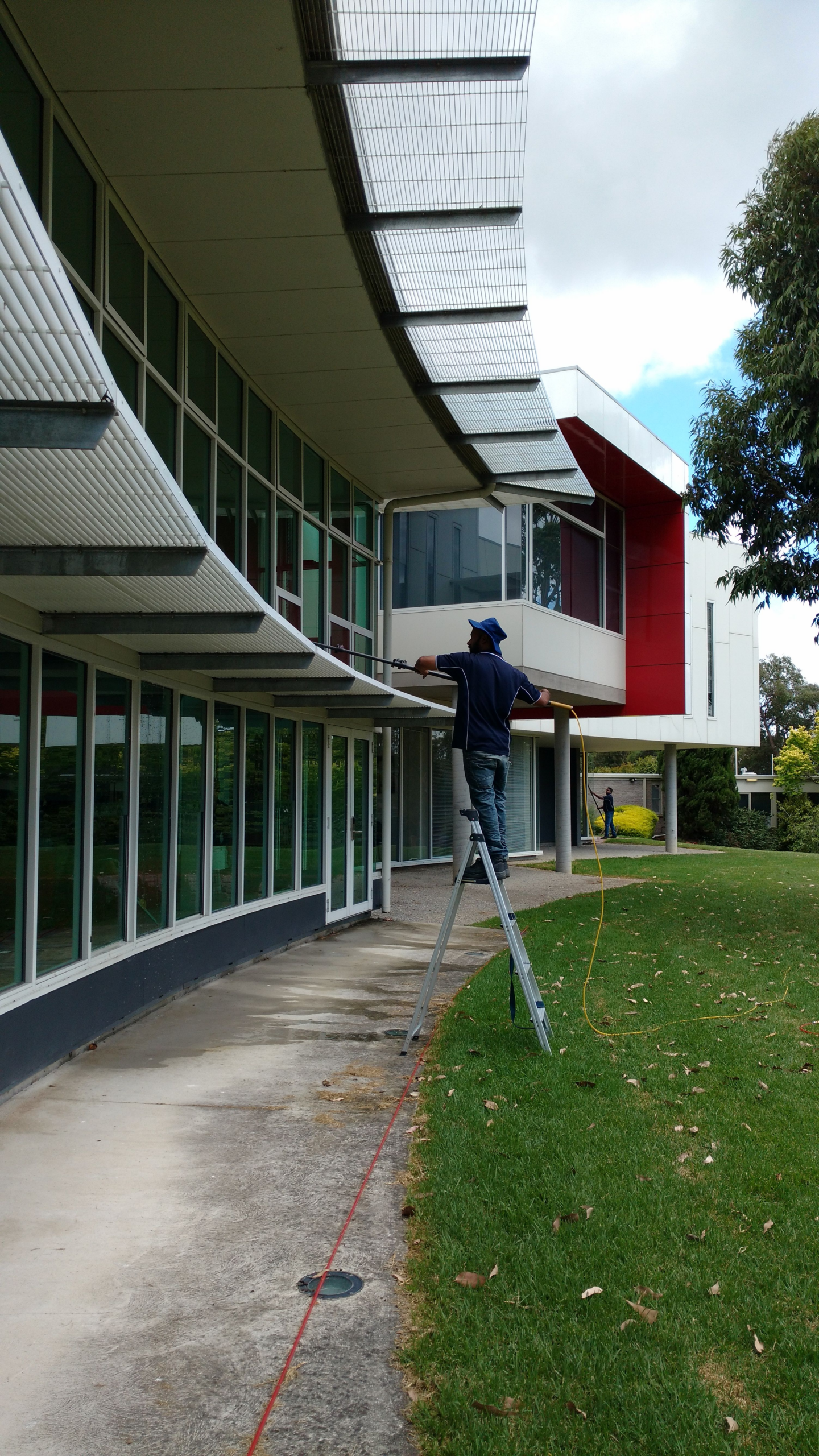Window Cleaner
