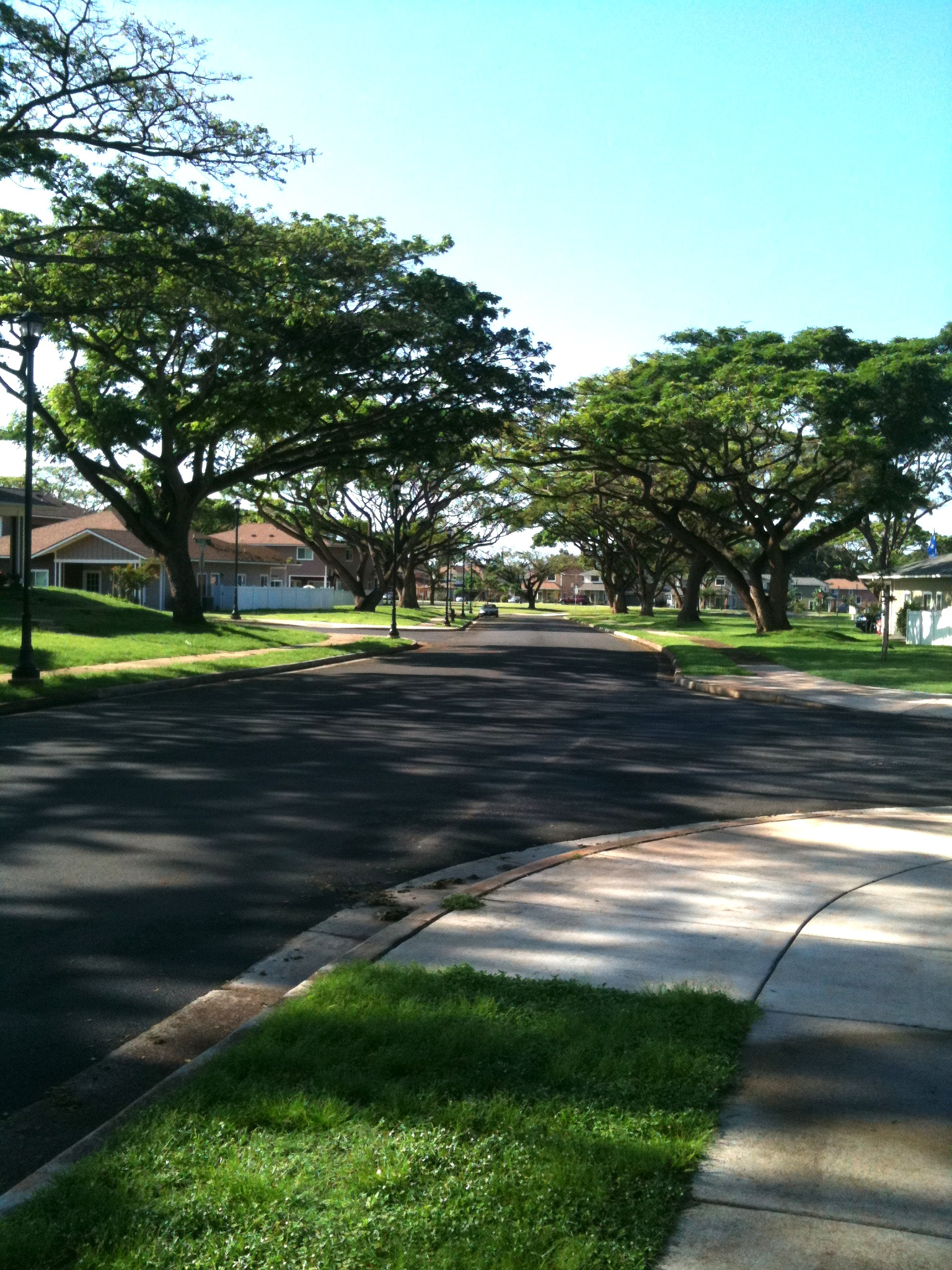 neighborhood