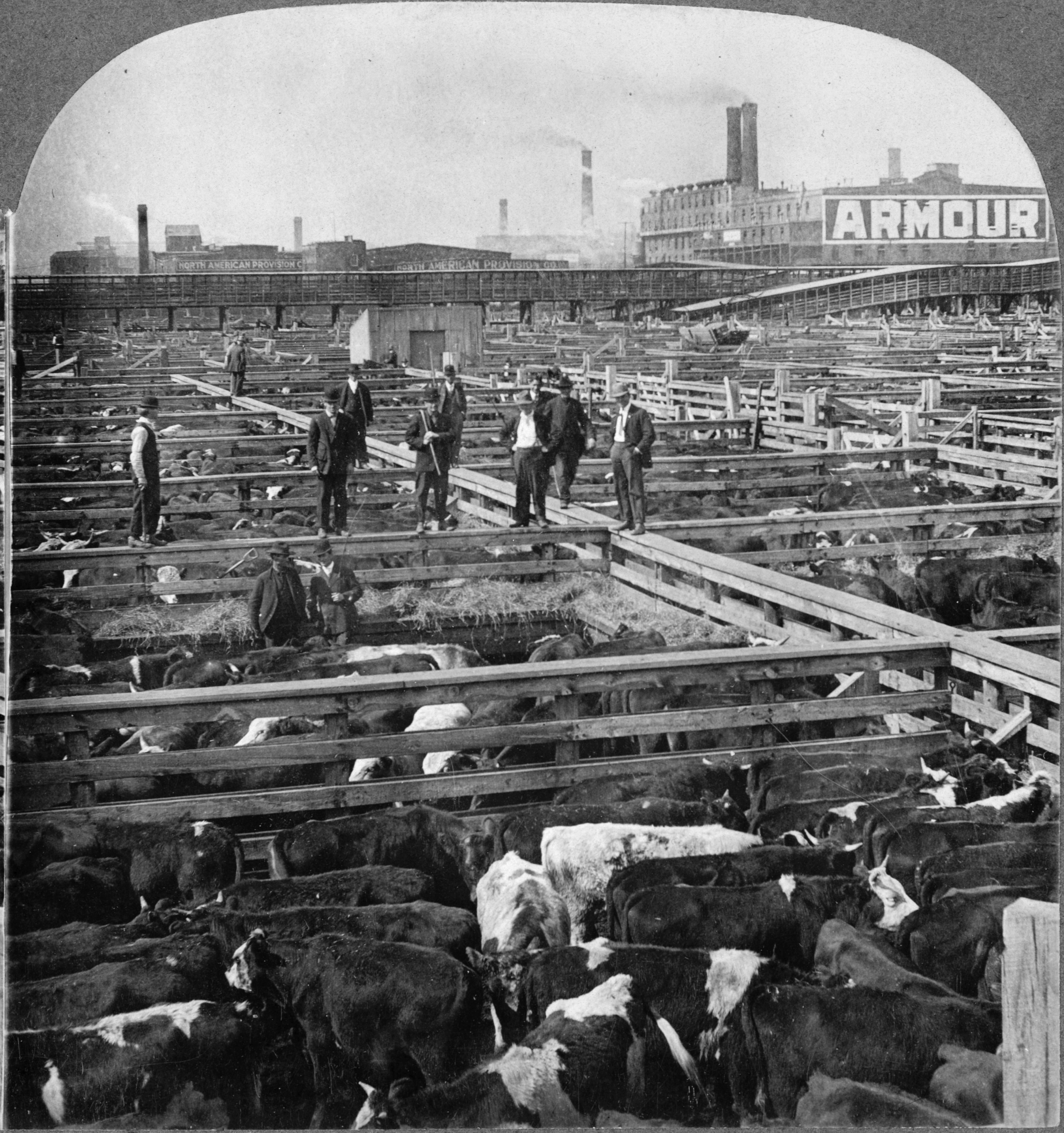 Stockyards