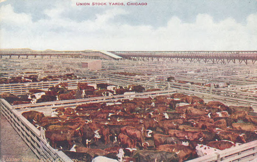 Stockyards