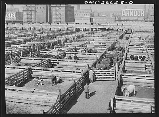 Stockyards